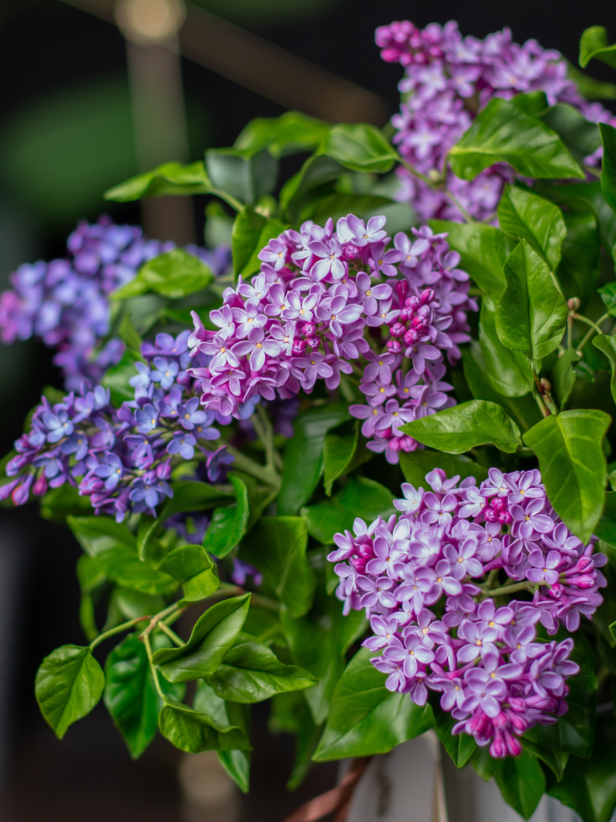 Цветы ручной работы. Анна Епихина фотограф Москва, Балашиха