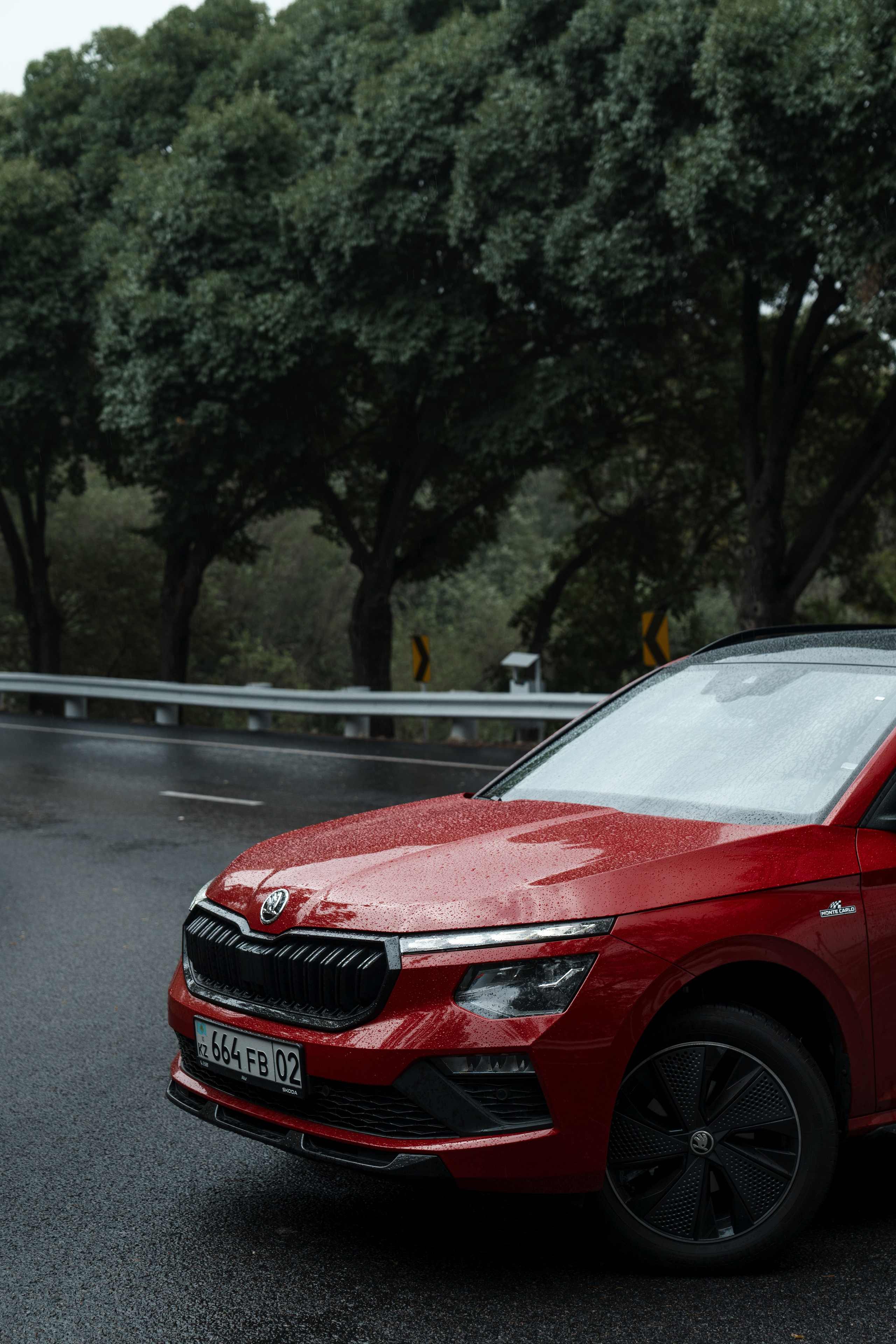 SKODA KAMIQ. Фотограф TAULAN_1