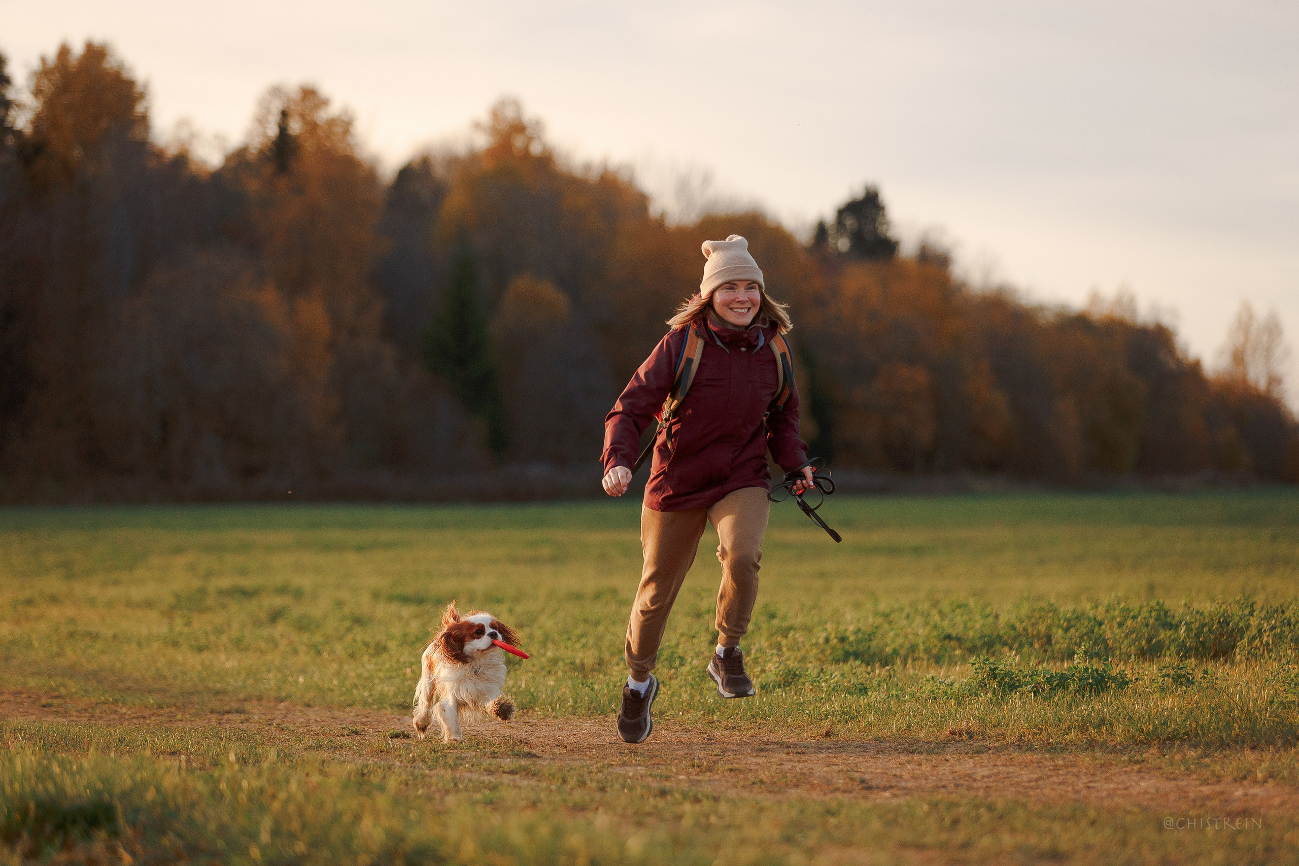 Октябрьский закат в полях. Алина и Лео. Фотограф-анималист Наталия Чистюхина в г. Сосновый Бор и ЛО