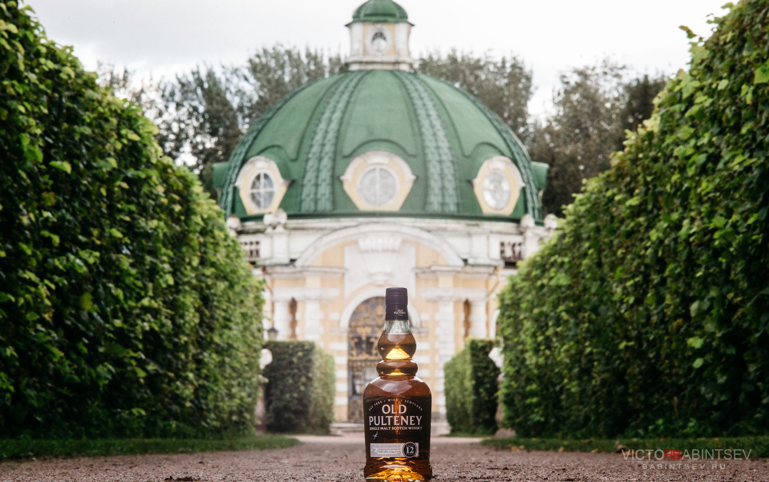 Whisky. Семейный и репортажной фотограф в Красноярске и Москве Виктор Бабинцев