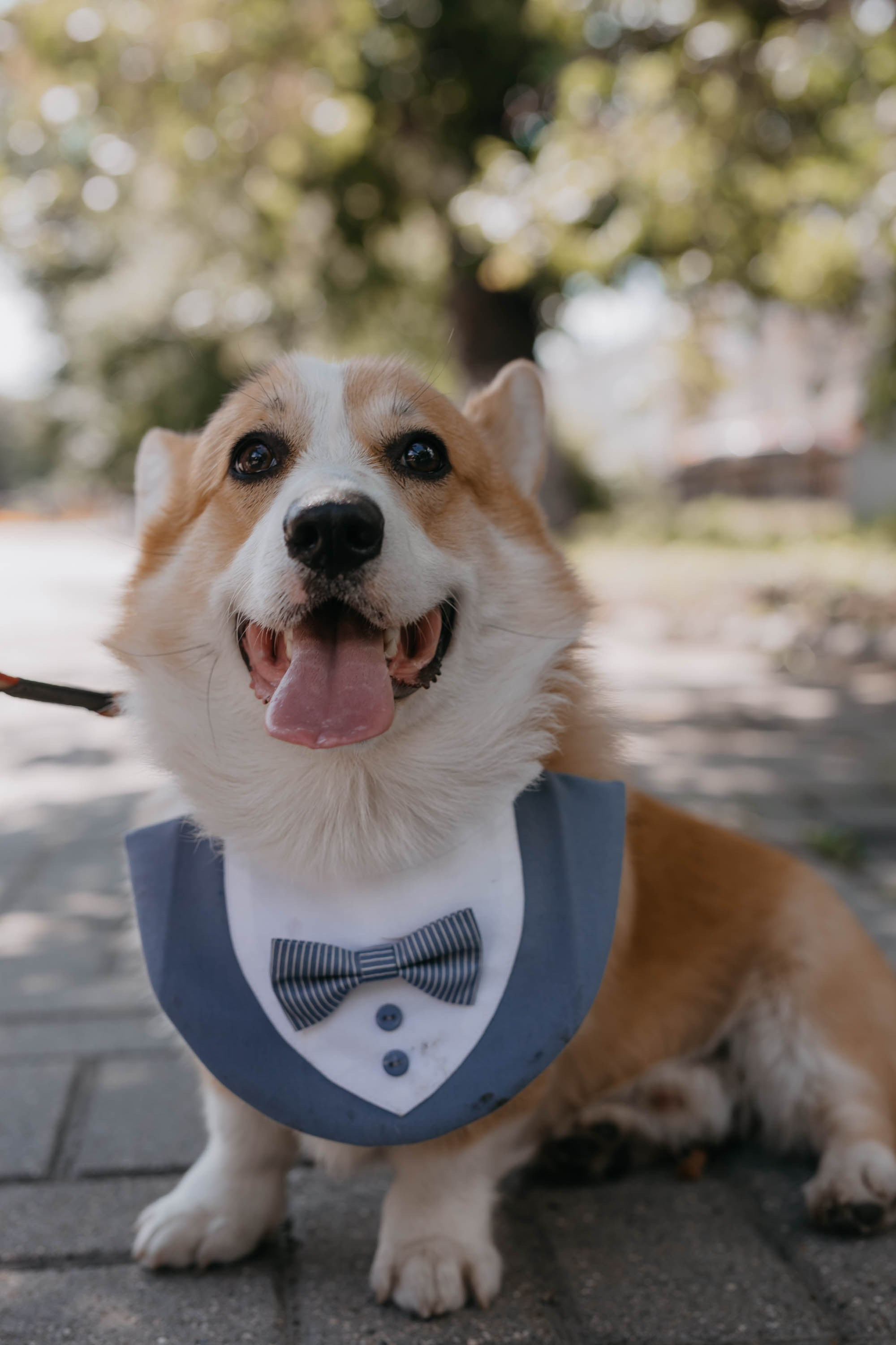 Александр & Анастасия. Фотограф ваших событий