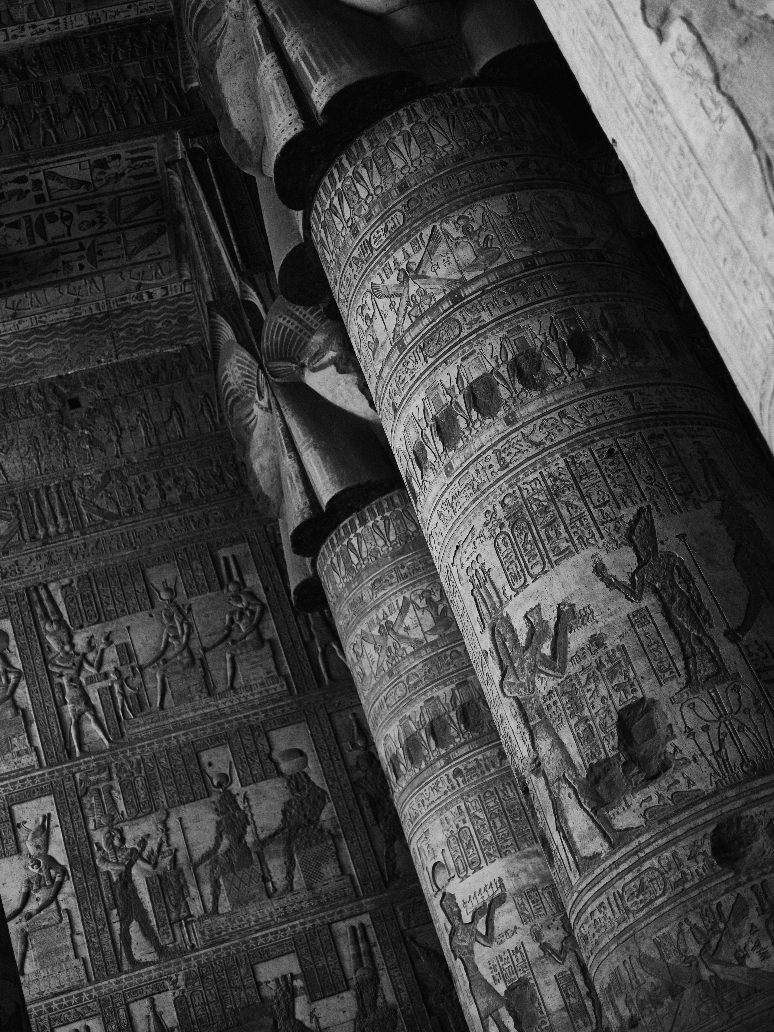 Другое 4. Jorgis — фотограф в Хургаде / обучение фотографии