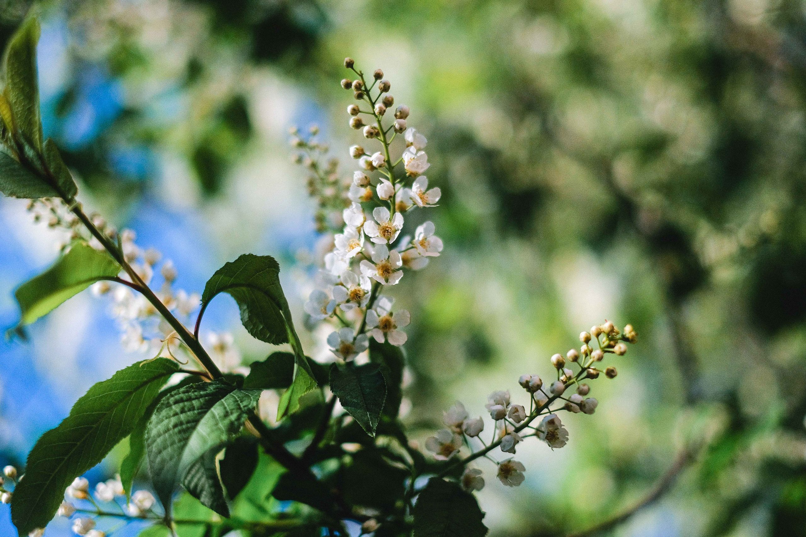 2022.05. Фотограф Алексей Алексеев