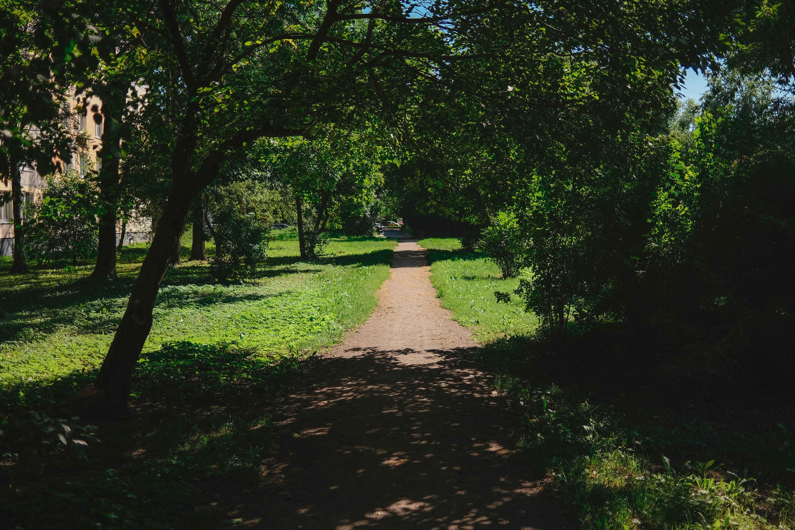 2023.08. Фотограф Алексей Алексеев