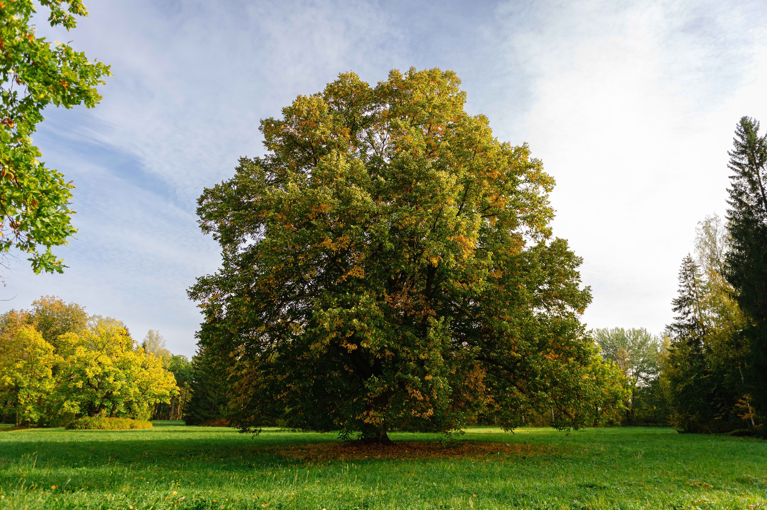 2023.09. Фотограф Алексей Алексеев