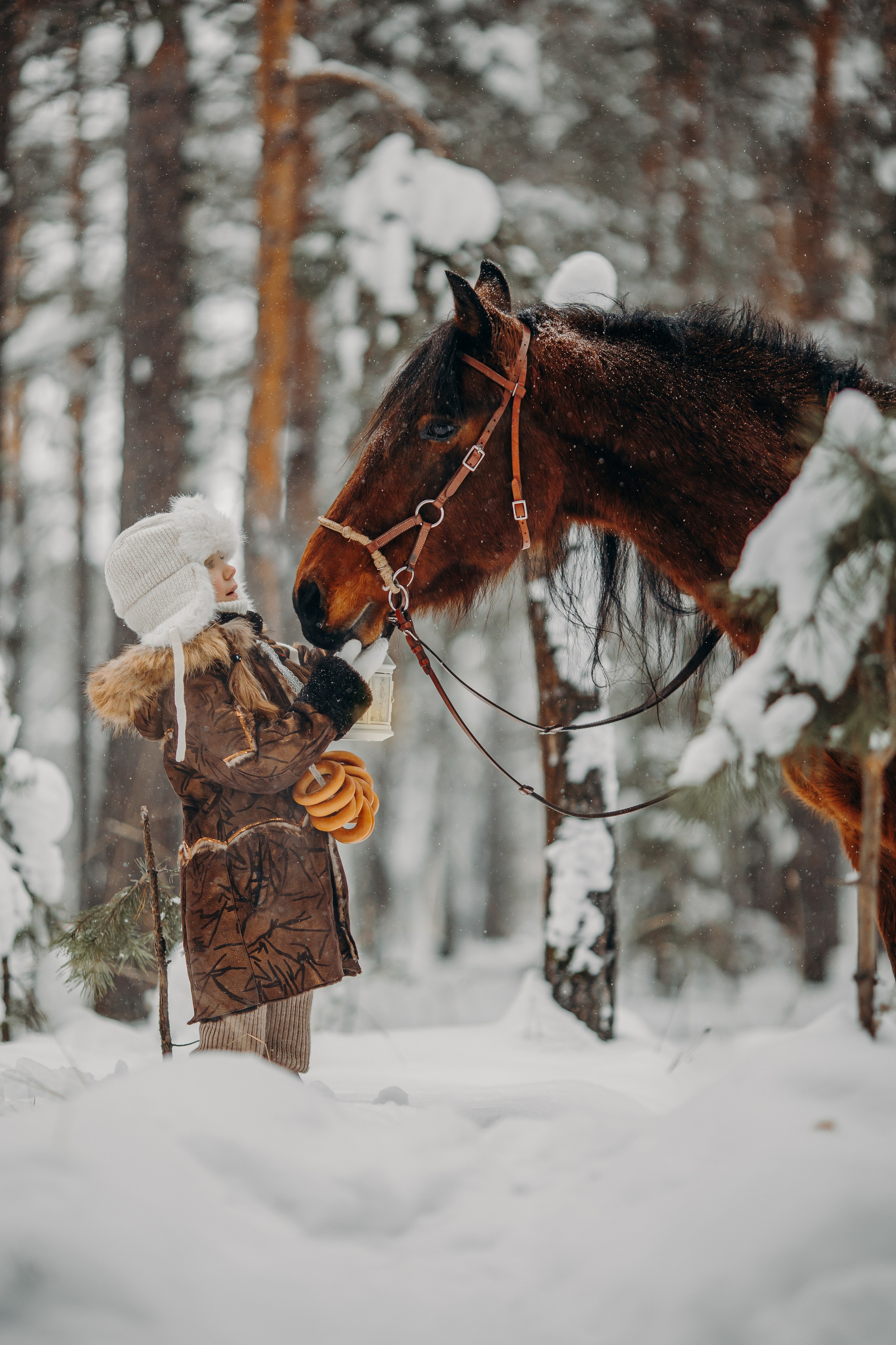 Тоша и баранки. Анна Молчанова конный фотограф в Тюмени | фотосессии с лошадьми Тюмень