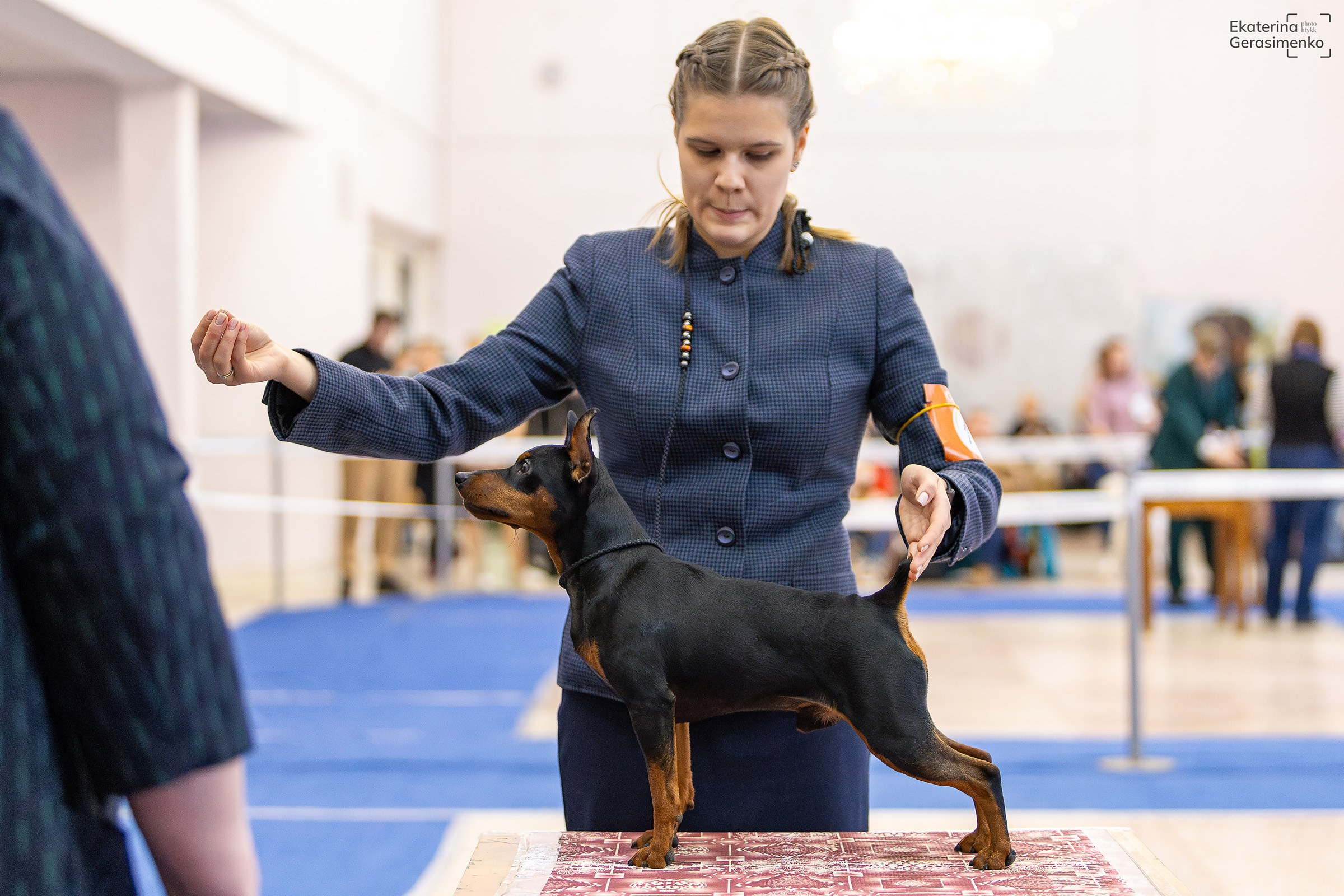 10 ноября 2024, Выставка РКФ, г. Пермь. Htykk_photo