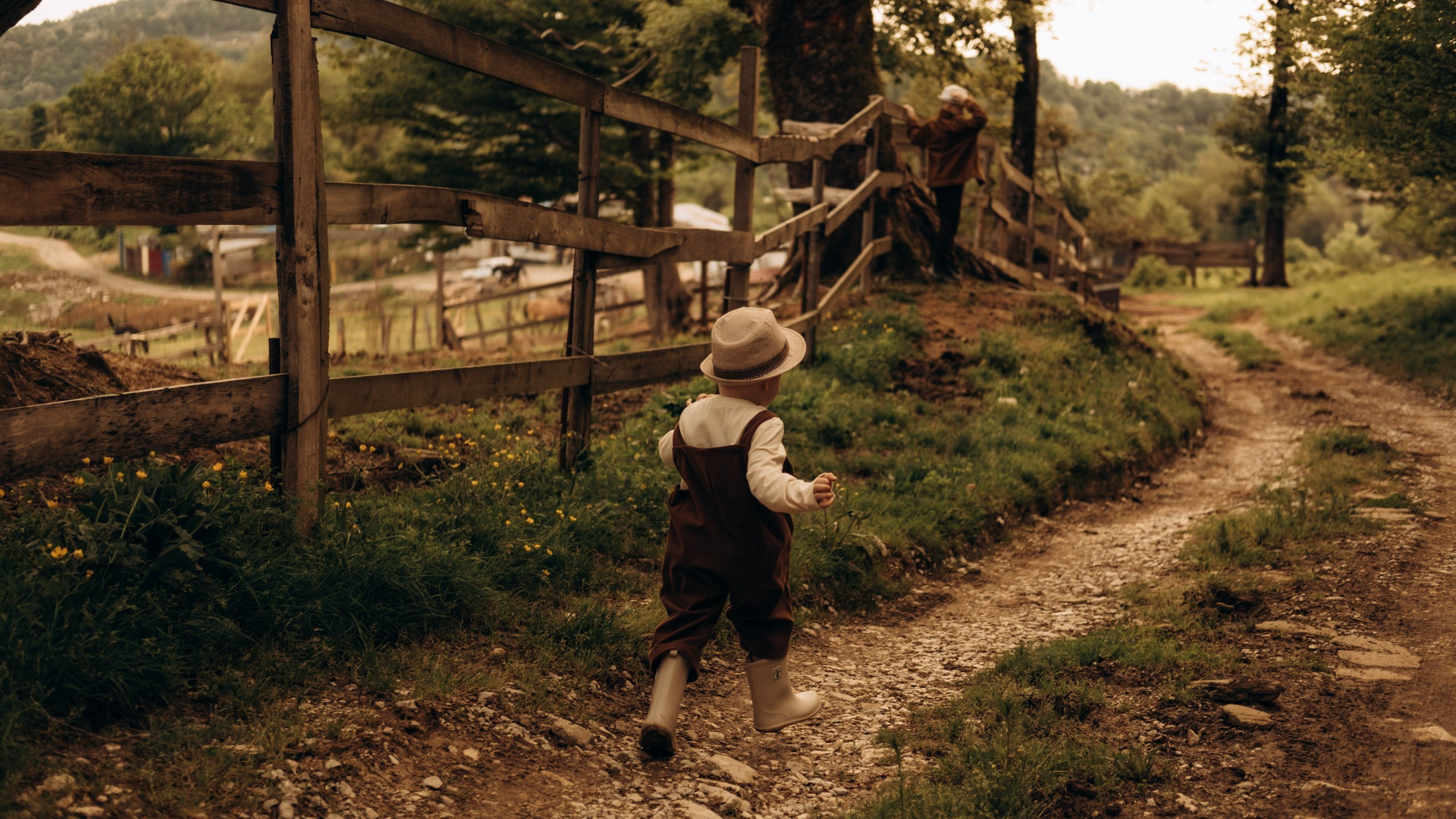 Конюшня. Главная