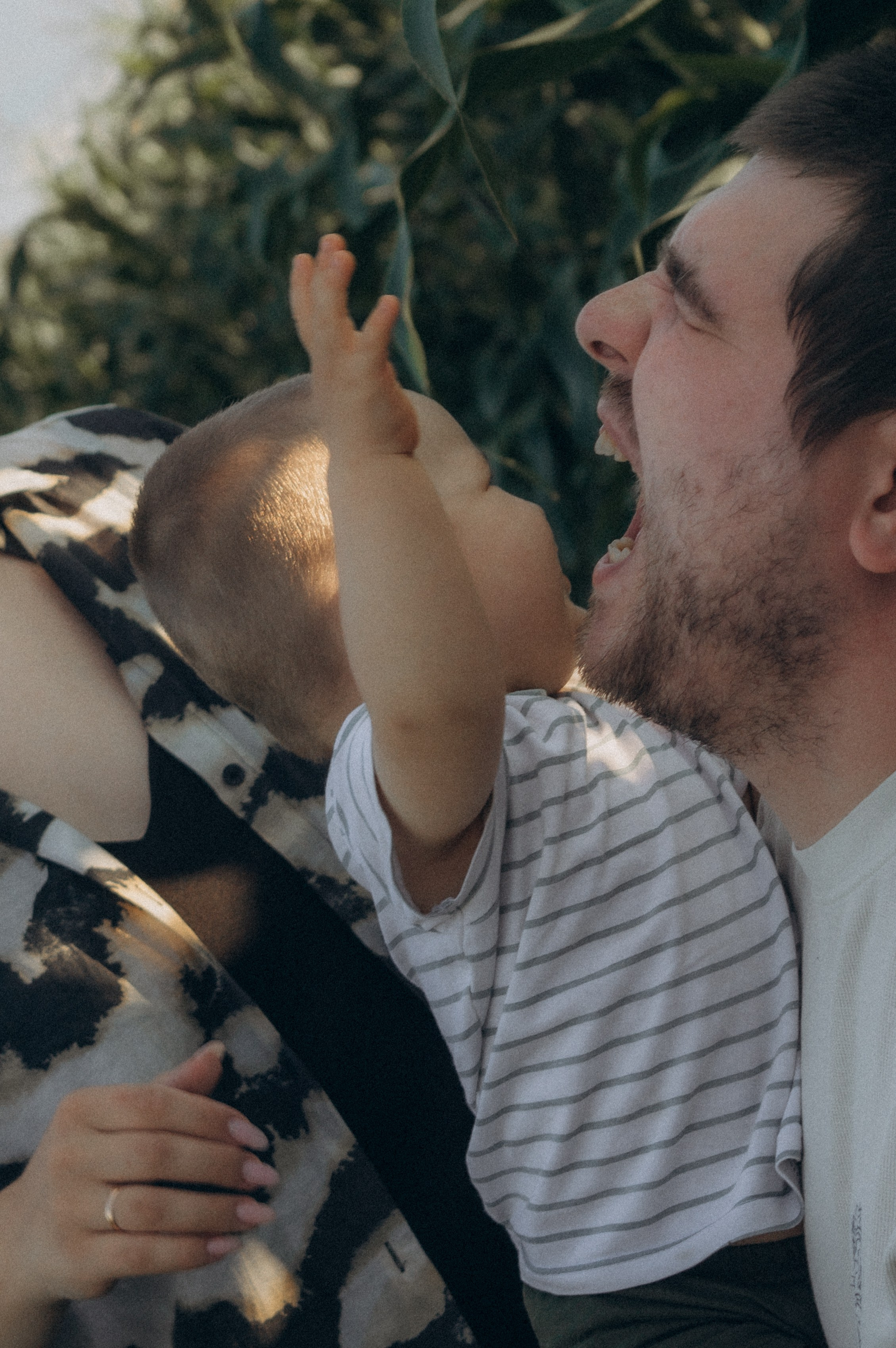 Лето, семья, кукуруза. Семейная летняя фотосессия. Юлия Левада Семейный и женский фотограф