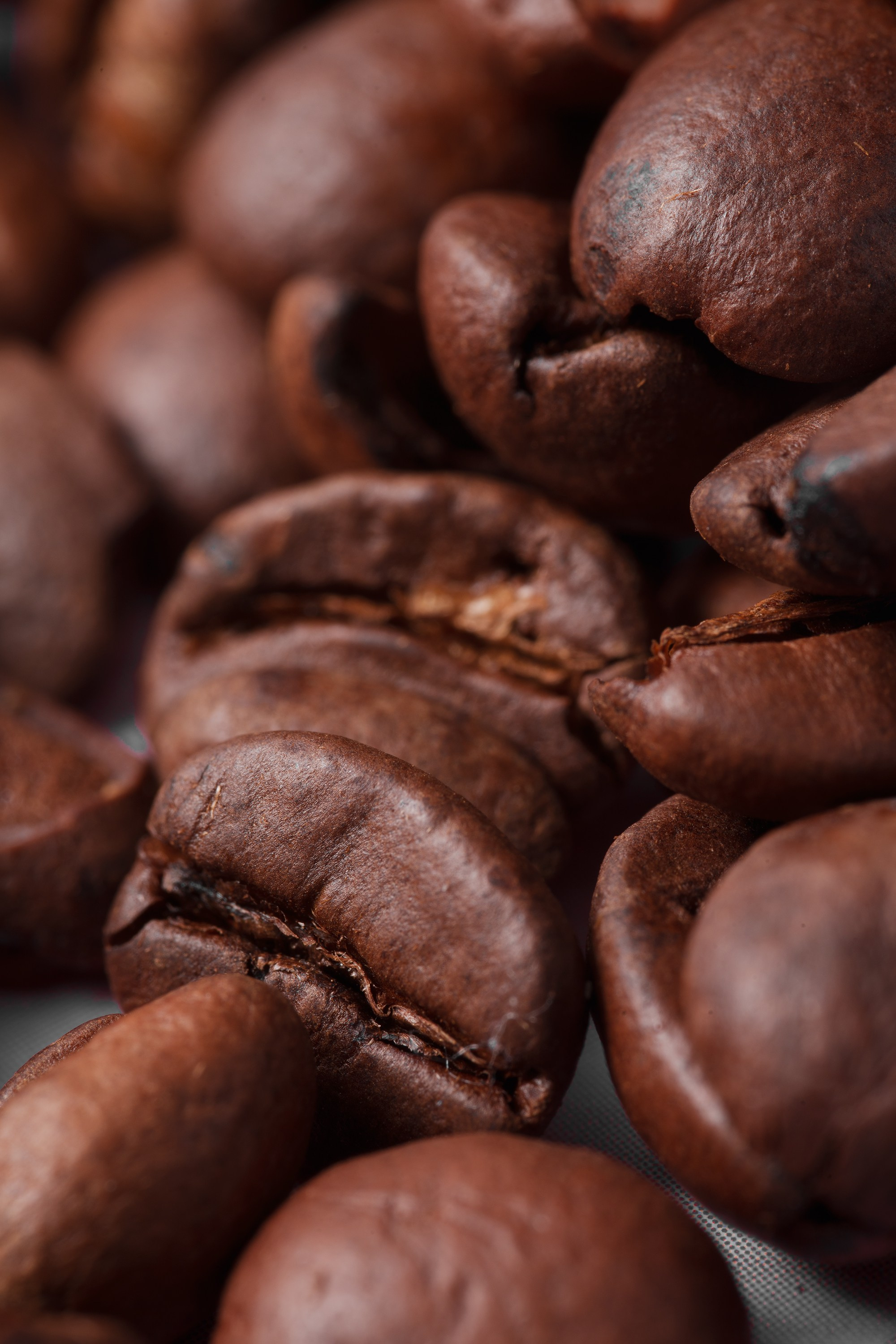 Предметка. Фотограф. Москва