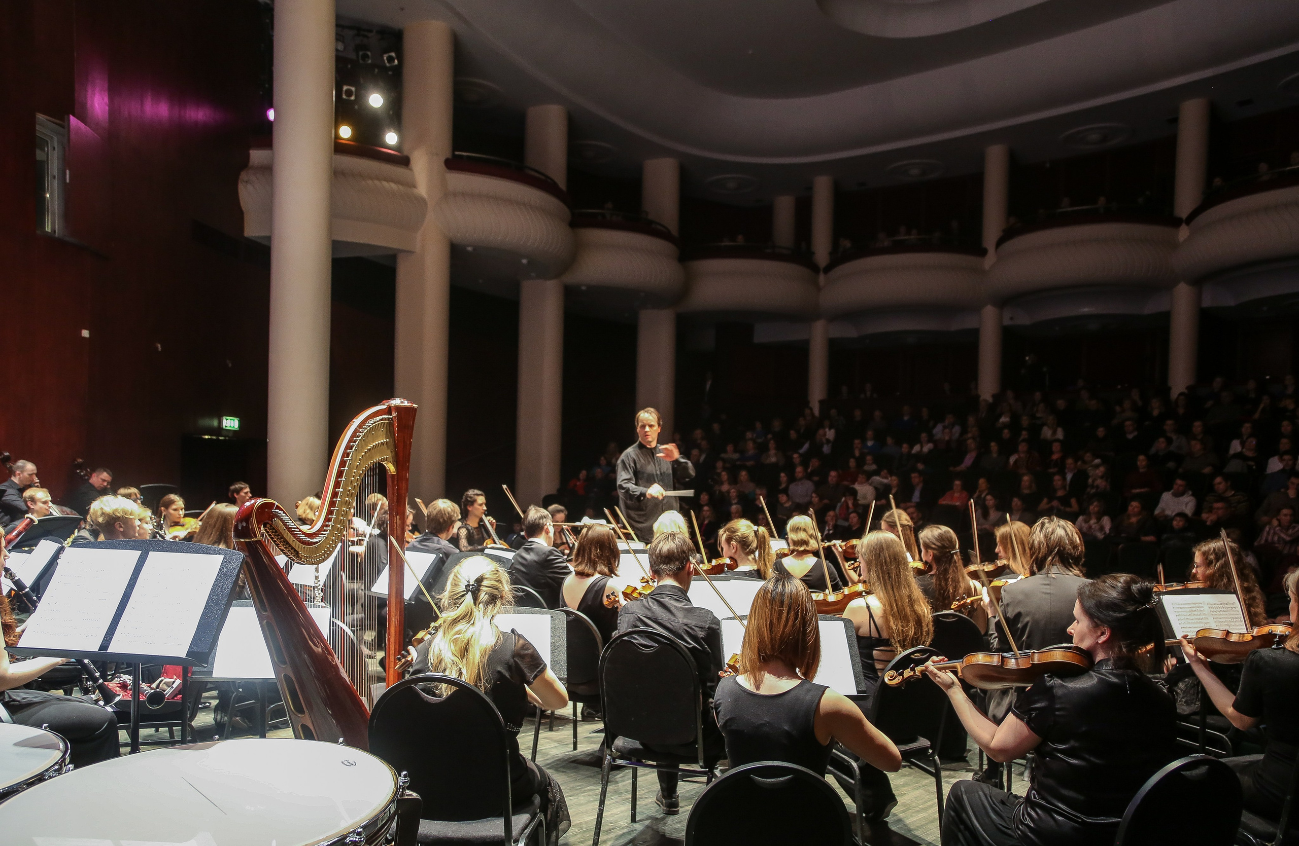 Концерт в Доме музыки к Международному дню борьбы с эпилепсией. Дарья Письменюк / Darya Leitstern — фотограф, музыкант, журналист, путешественник