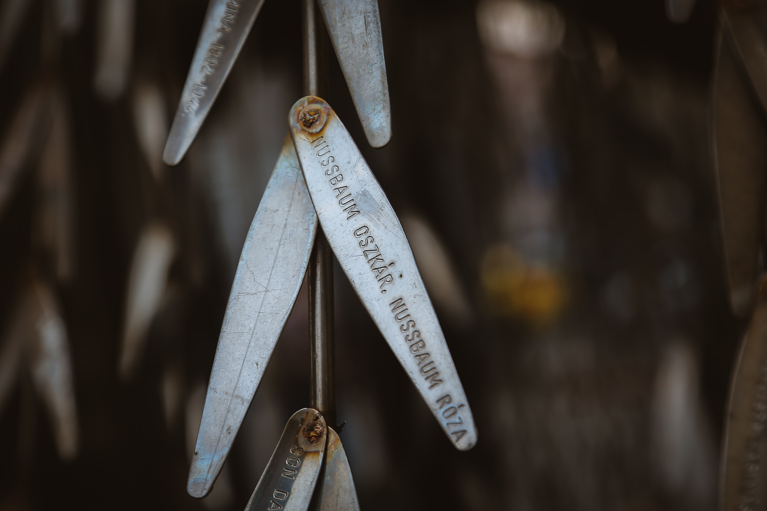 Венгрия: Еврейский Будапешт. Дарья Письменюк / Darya Leitstern — фотограф, музыкант, журналист, путешественник