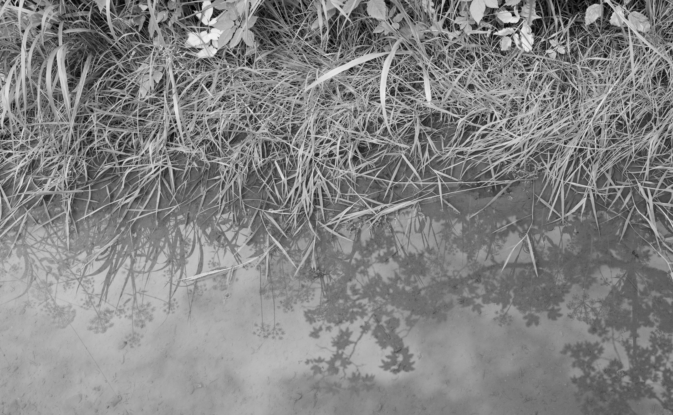 Bischofsgrün. ITMAG.ME | Visual Art