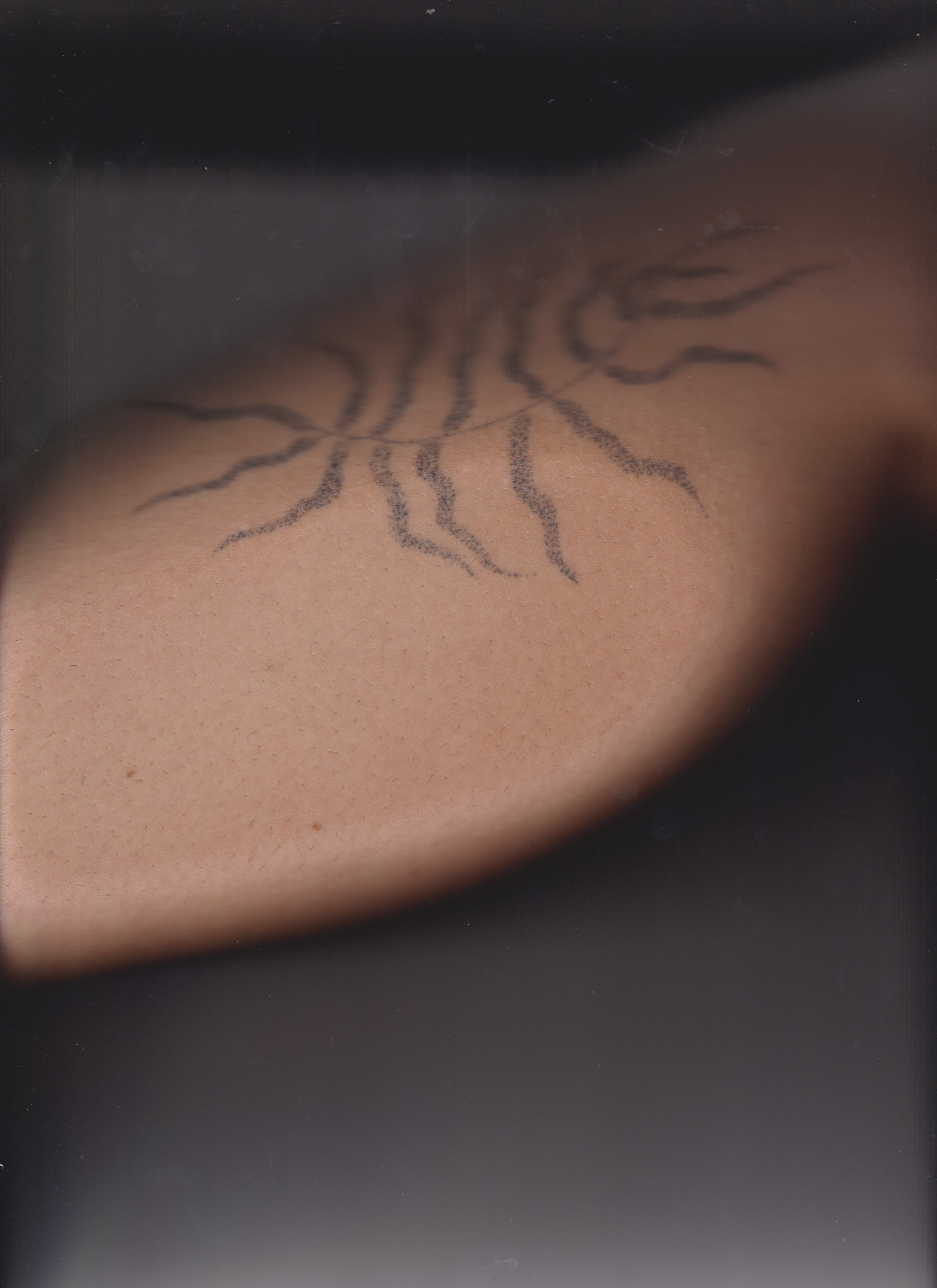 SEDIMENTS AND FOSSILS. Xexexena.ru