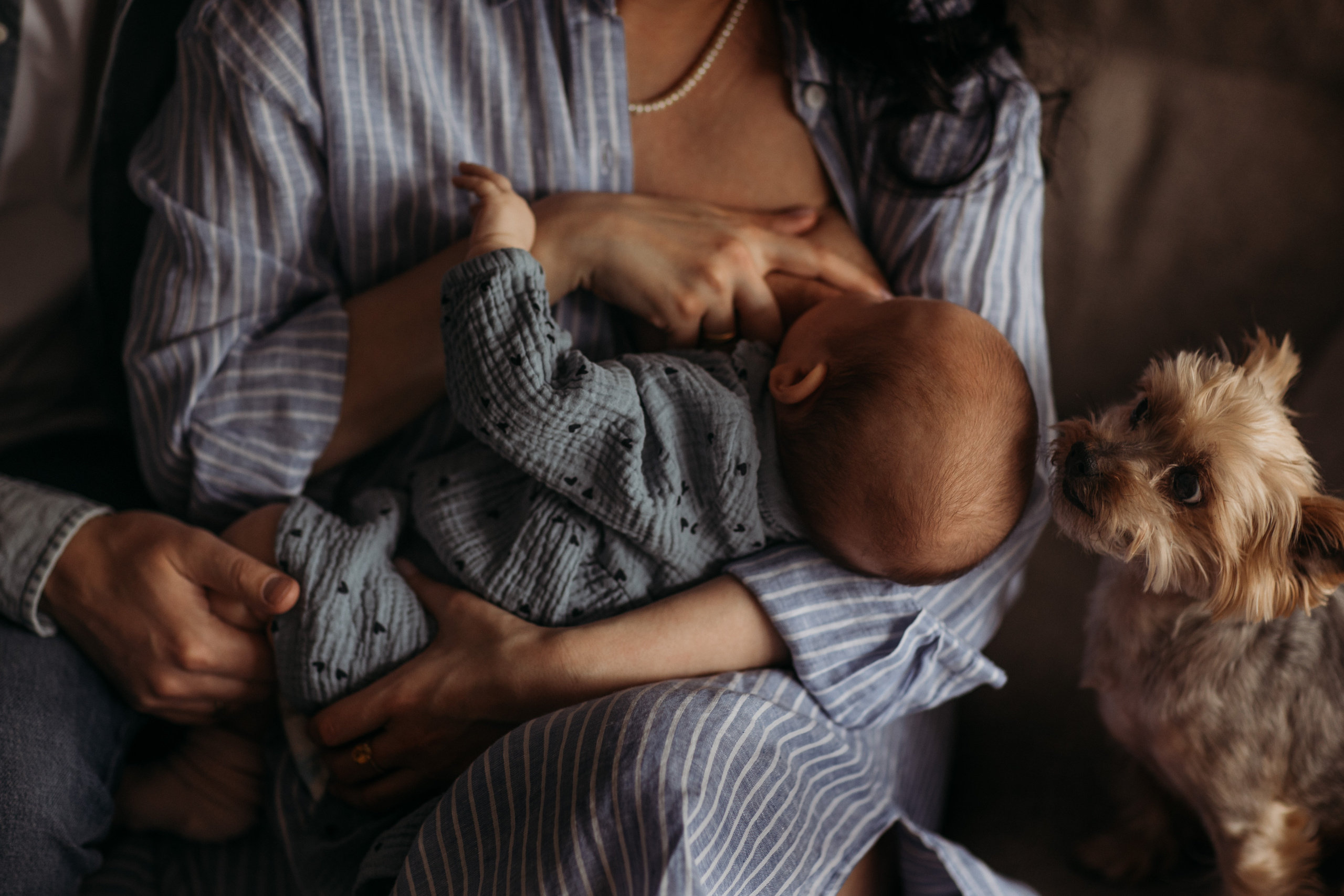 Фотосессия для новорожденных Москва Нью борн фотосессия в Москве. Любовь Кузнецова — семейный и детский фотограф в Москве