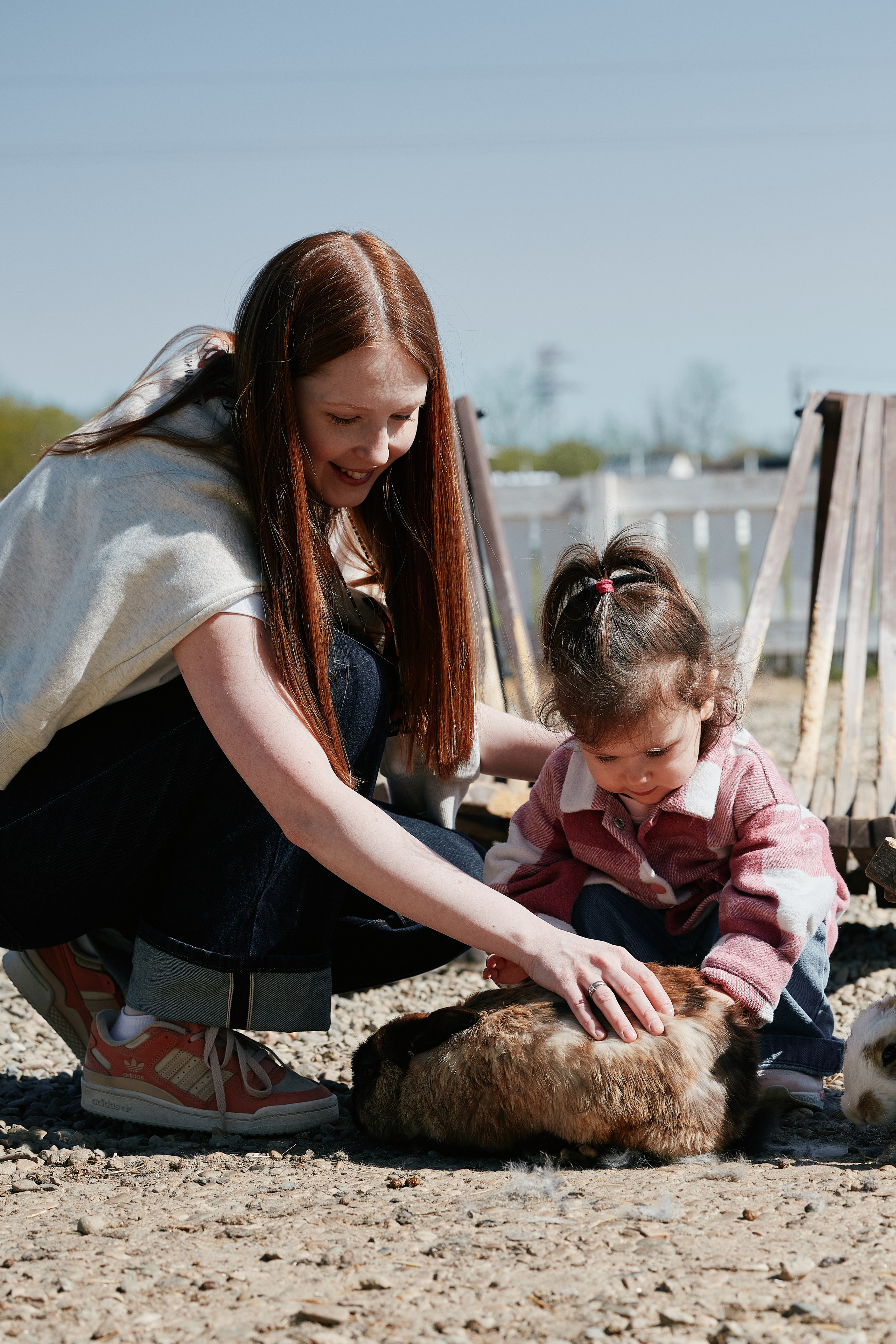 PRIVATE Weekend на Ферме Альпак 19.04. Свадебный репортажный фотограф краснодар максим дремов дрёмов фотосессия студия цена