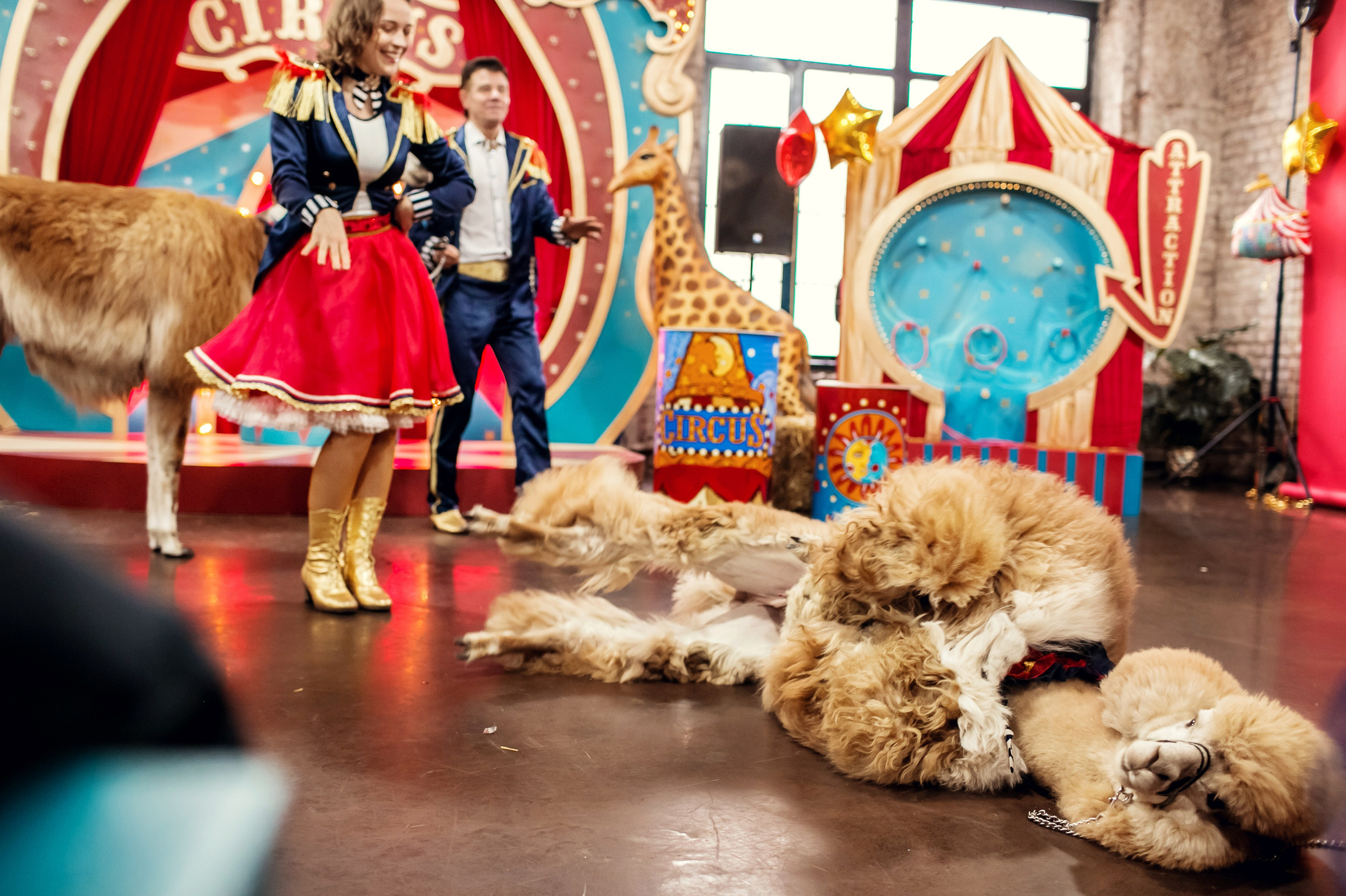 Насте 5 лет. Детский и семейный фотограф в Москве Анна Ипатьева