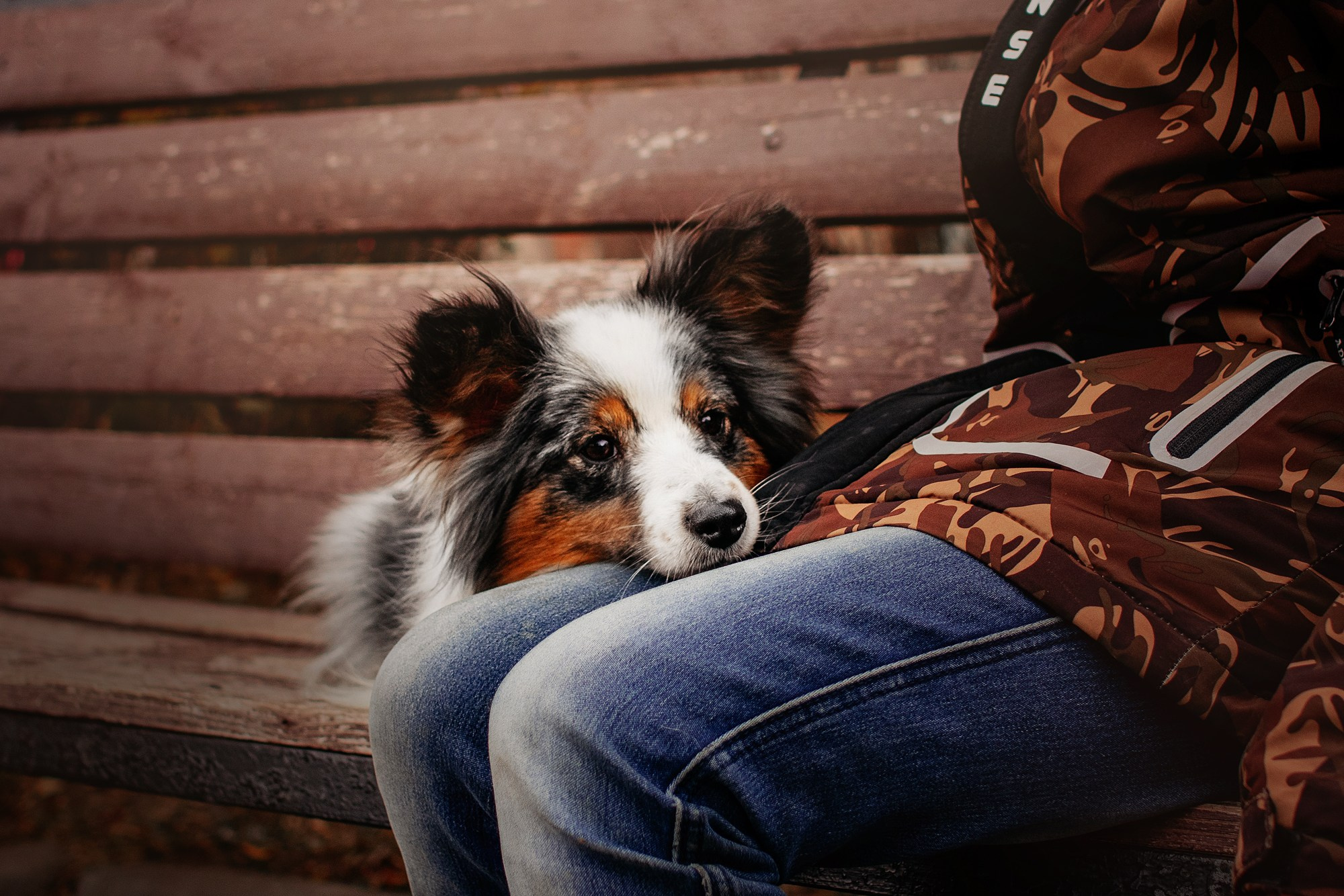 Марина и Кутька. Фотограф Наталья Потапова