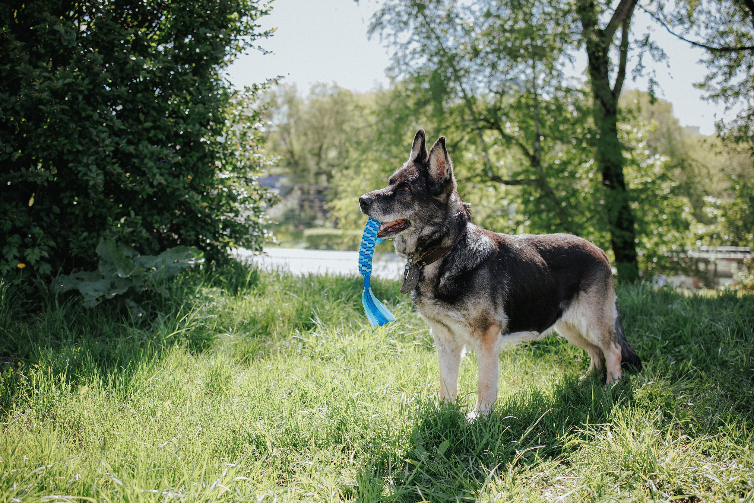 Анжелика и Линда. Фотограф Наталья Потапова