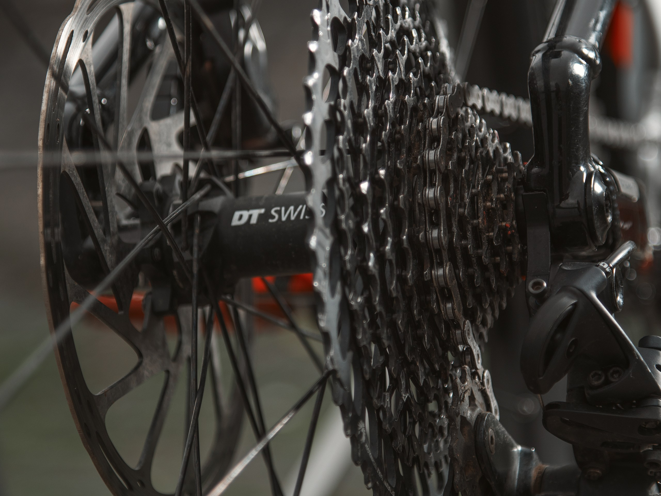 Mondraker. Фотограф анималист Никита Натальный