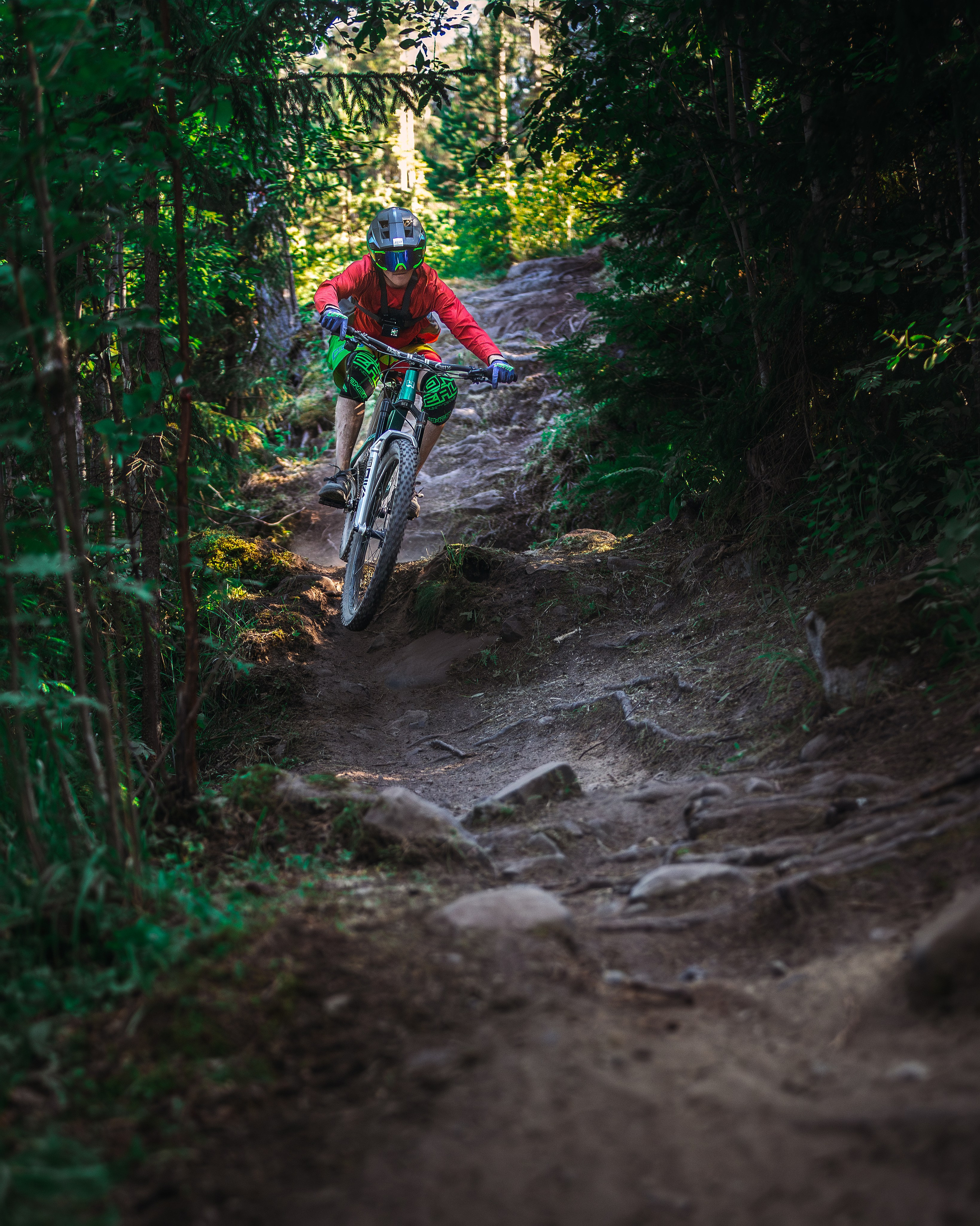 Гонка Ялгора. Фотограф анималист Никита Натальный
