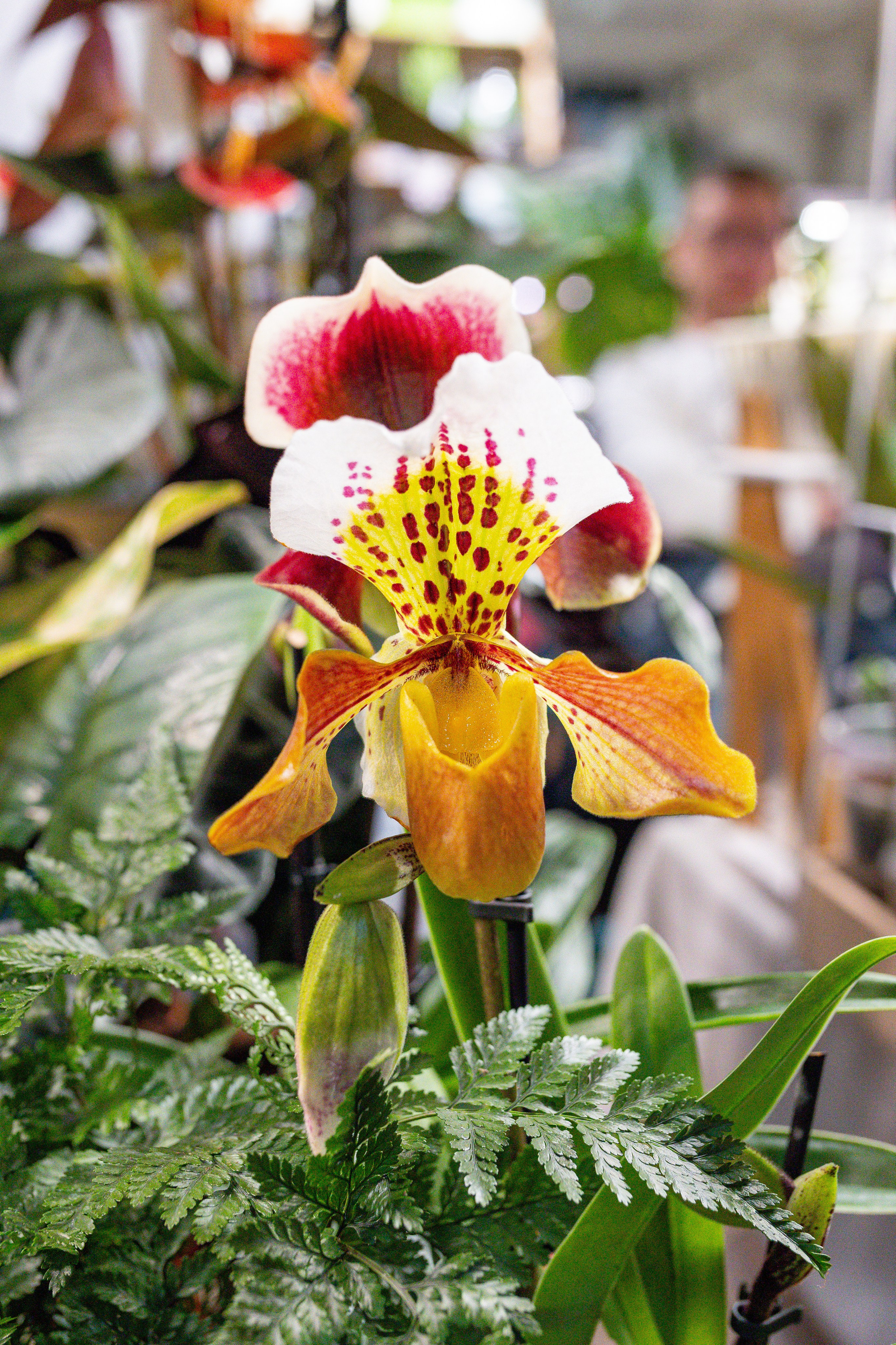 Growbox декабрь 2025. Александра Куликова фотограф, Москва