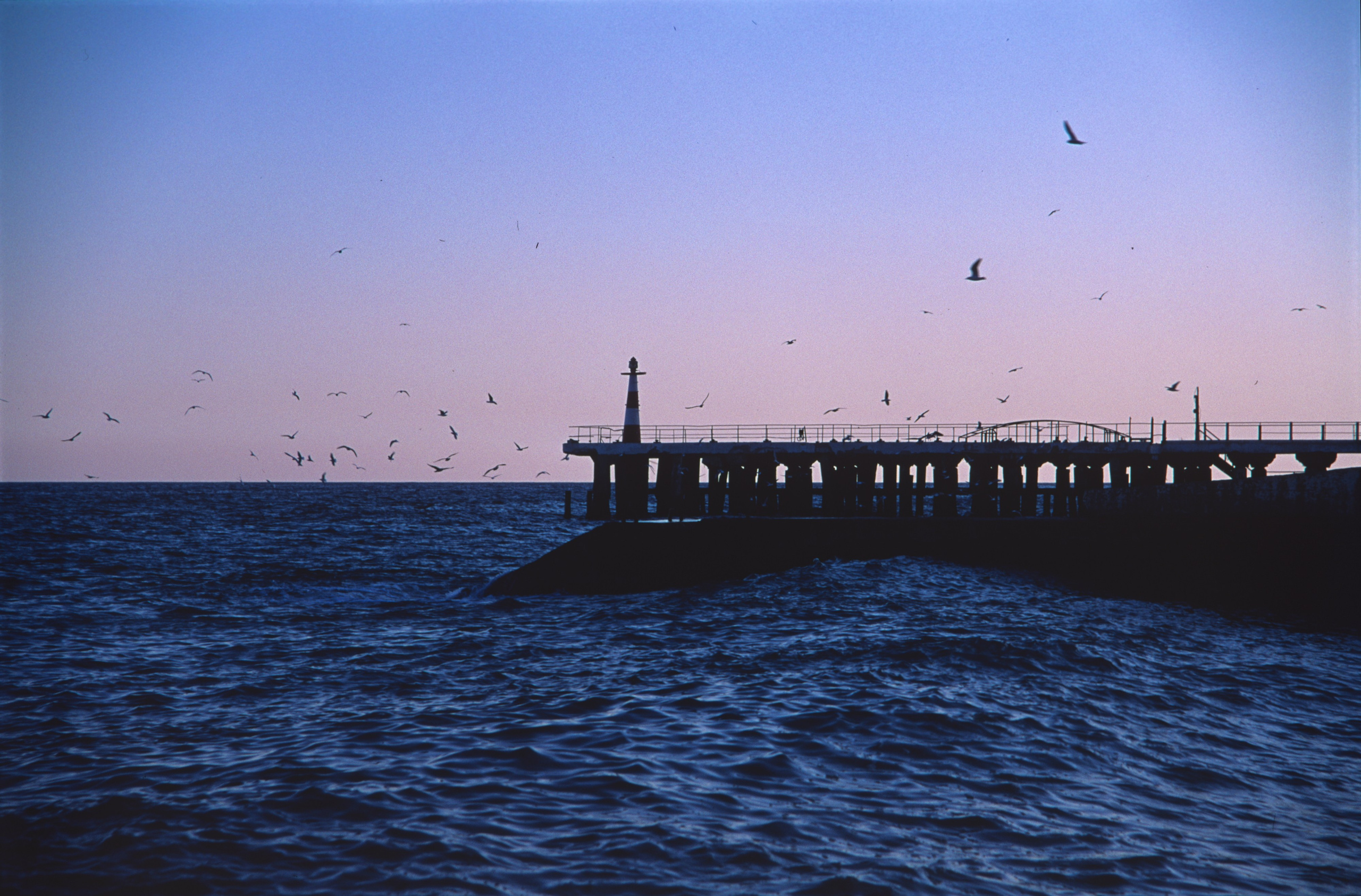 Горы и море. Фотограф в Санкт-Петербурге Березовский Даниил