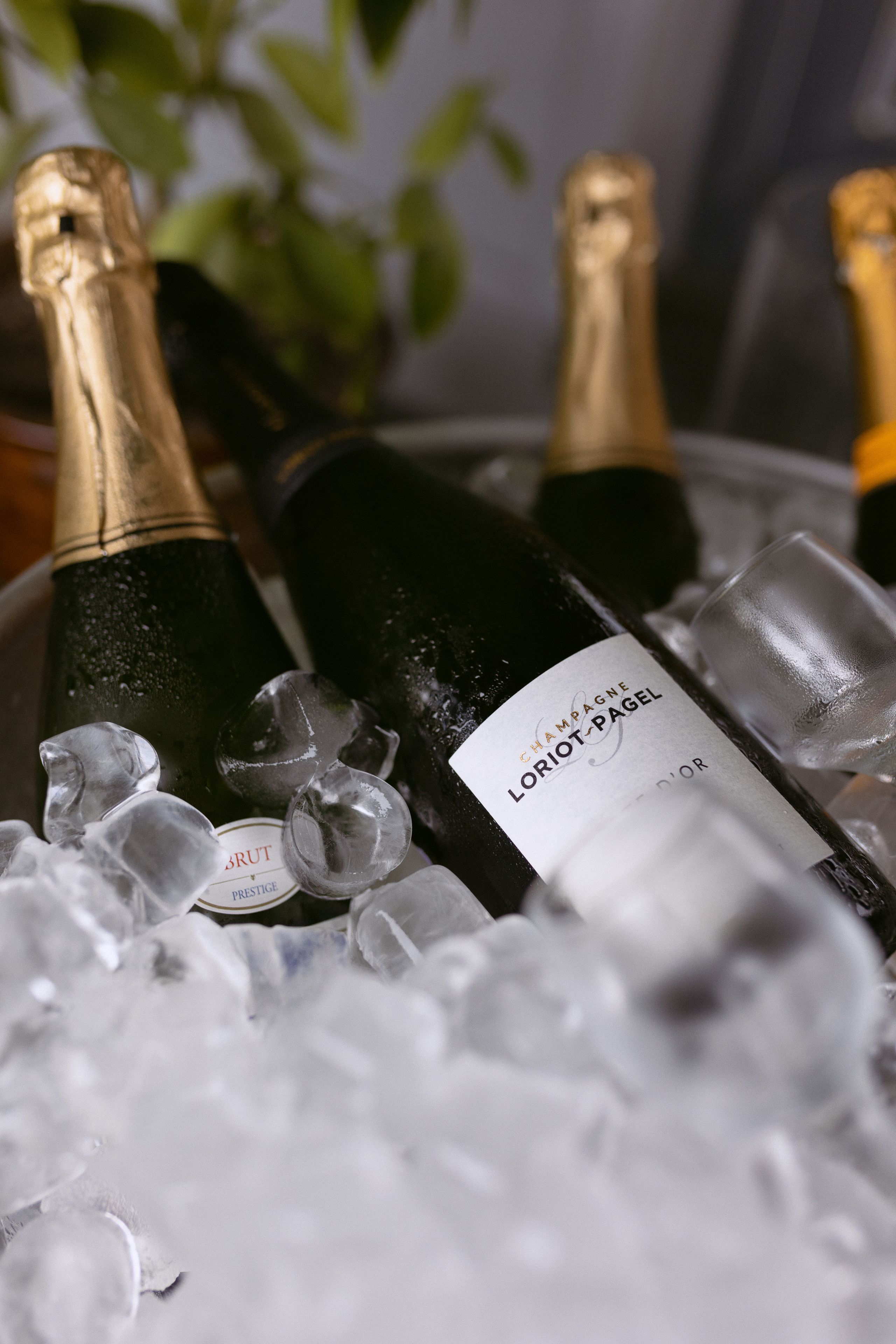 РЕПОРТАЖ. Свадебный фотограф в Москве Мария Крош