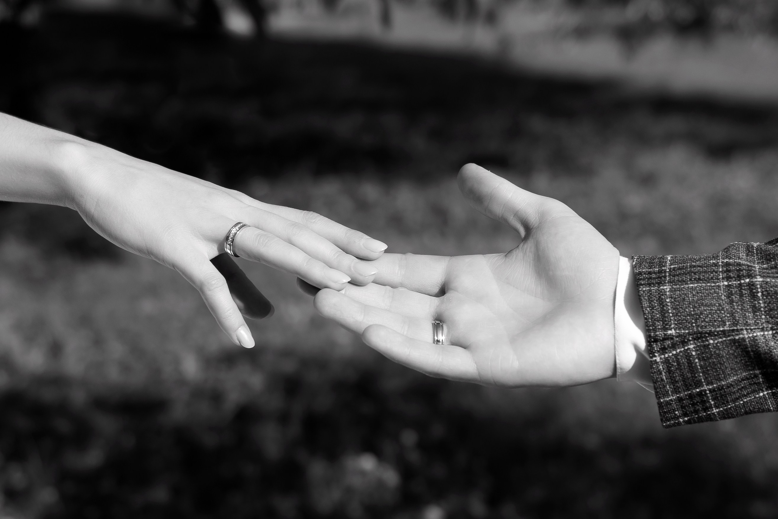 Анастасия и Кирилл. Свадебный и семейный фотограф в Алексеевке Марина Купреева