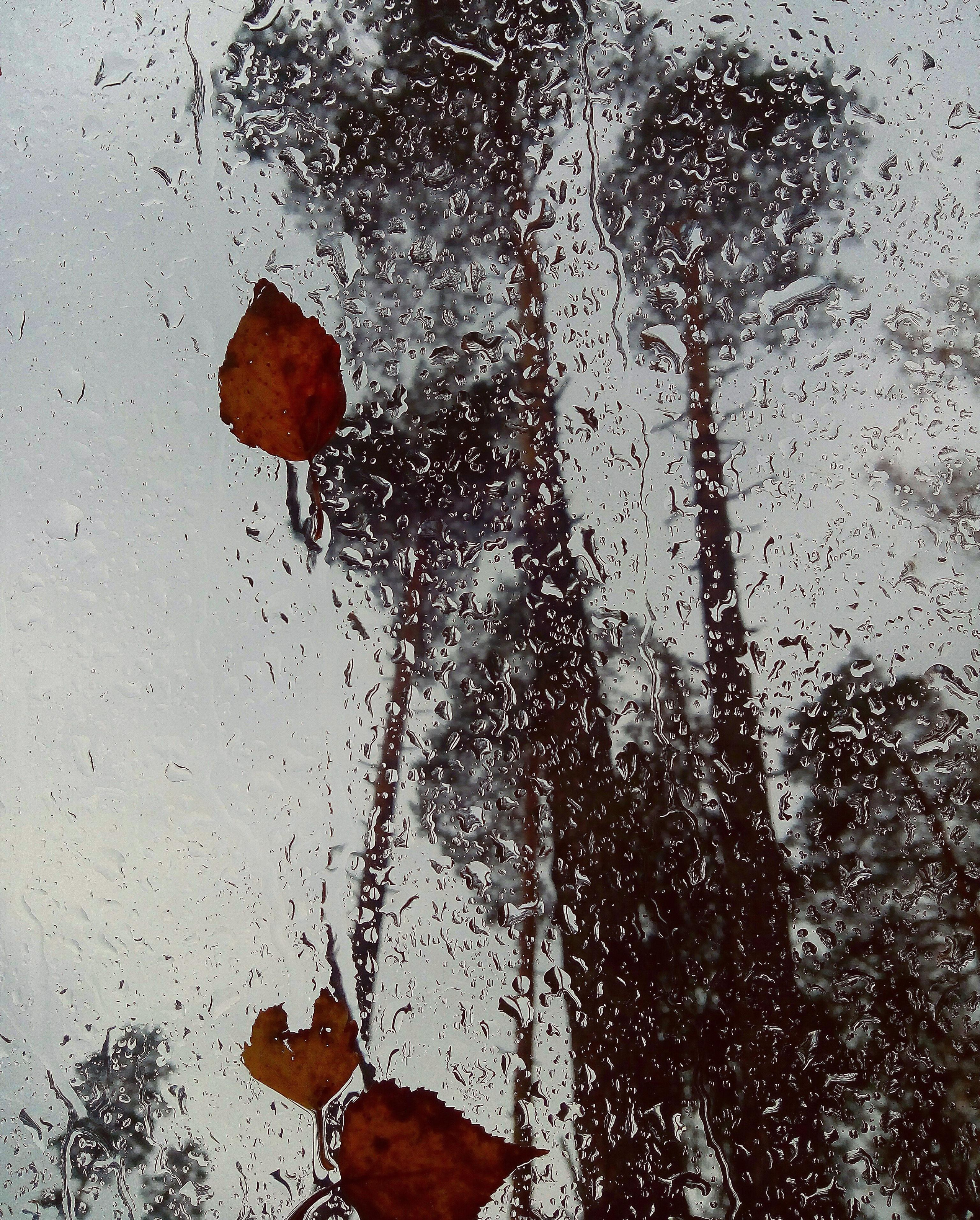 Фотографии. Детский и семейный фотограф Зоя Павкина