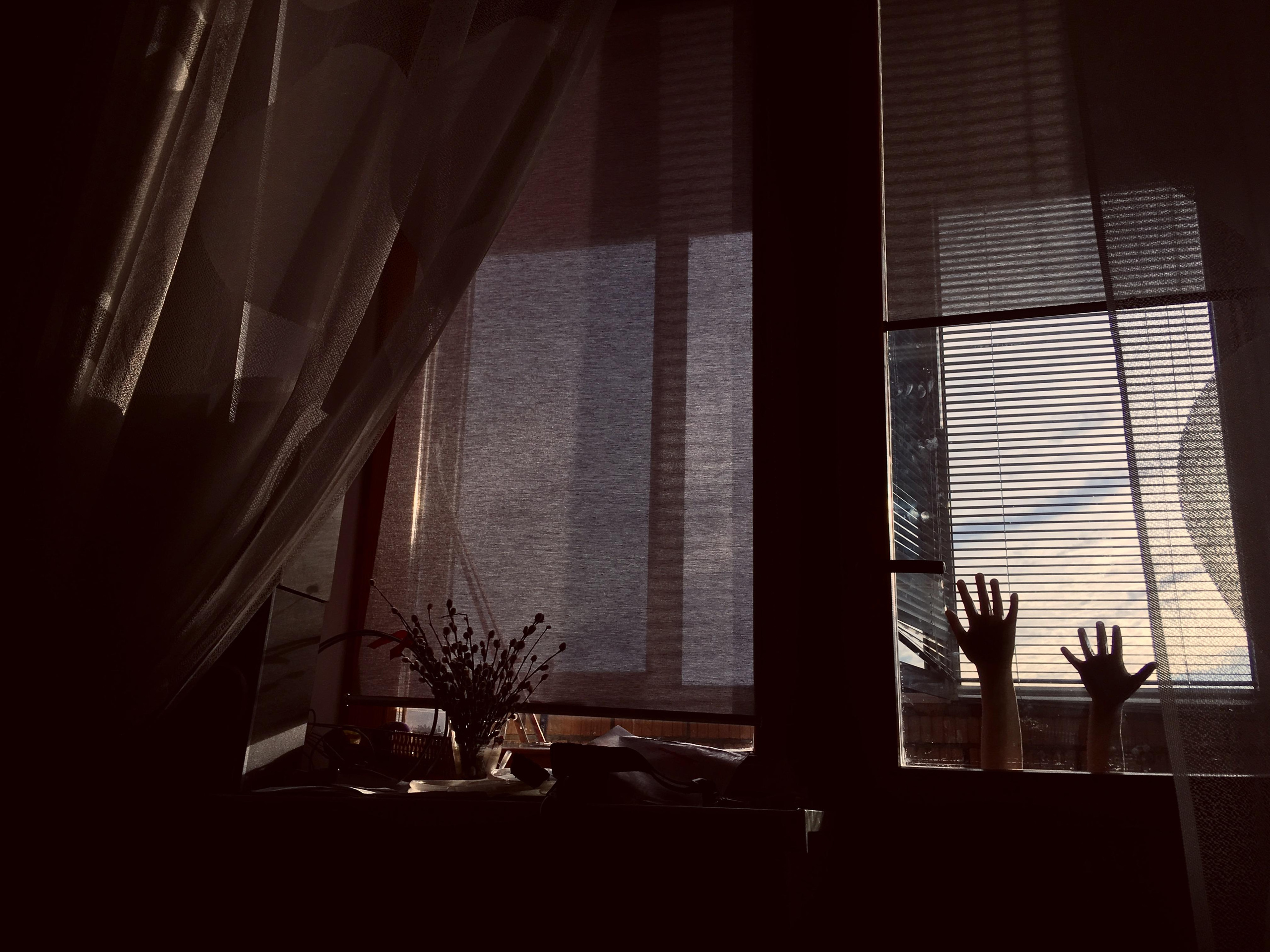 Фотографии. Детский и семейный фотограф Зоя Павкина