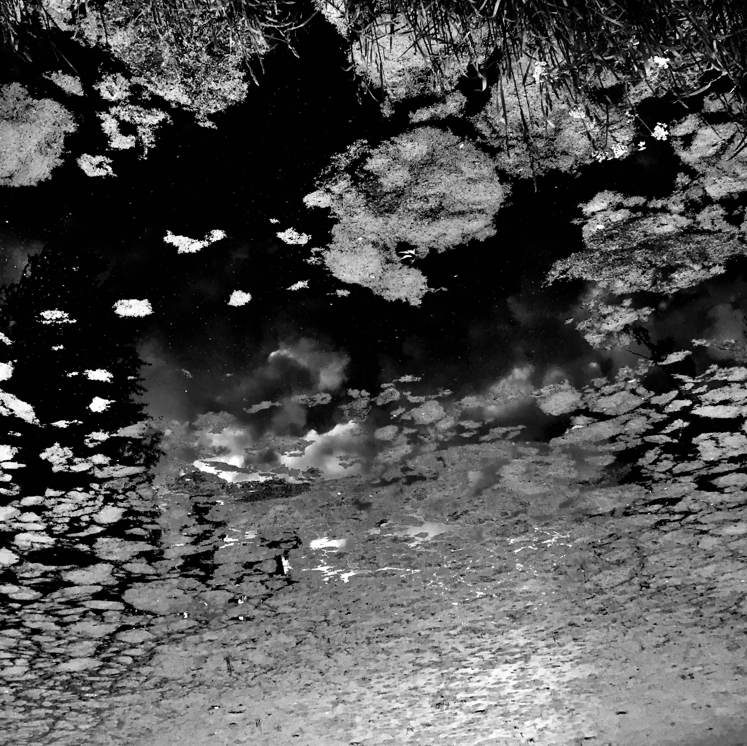 Фотографии. Детский и семейный фотограф Зоя Павкина