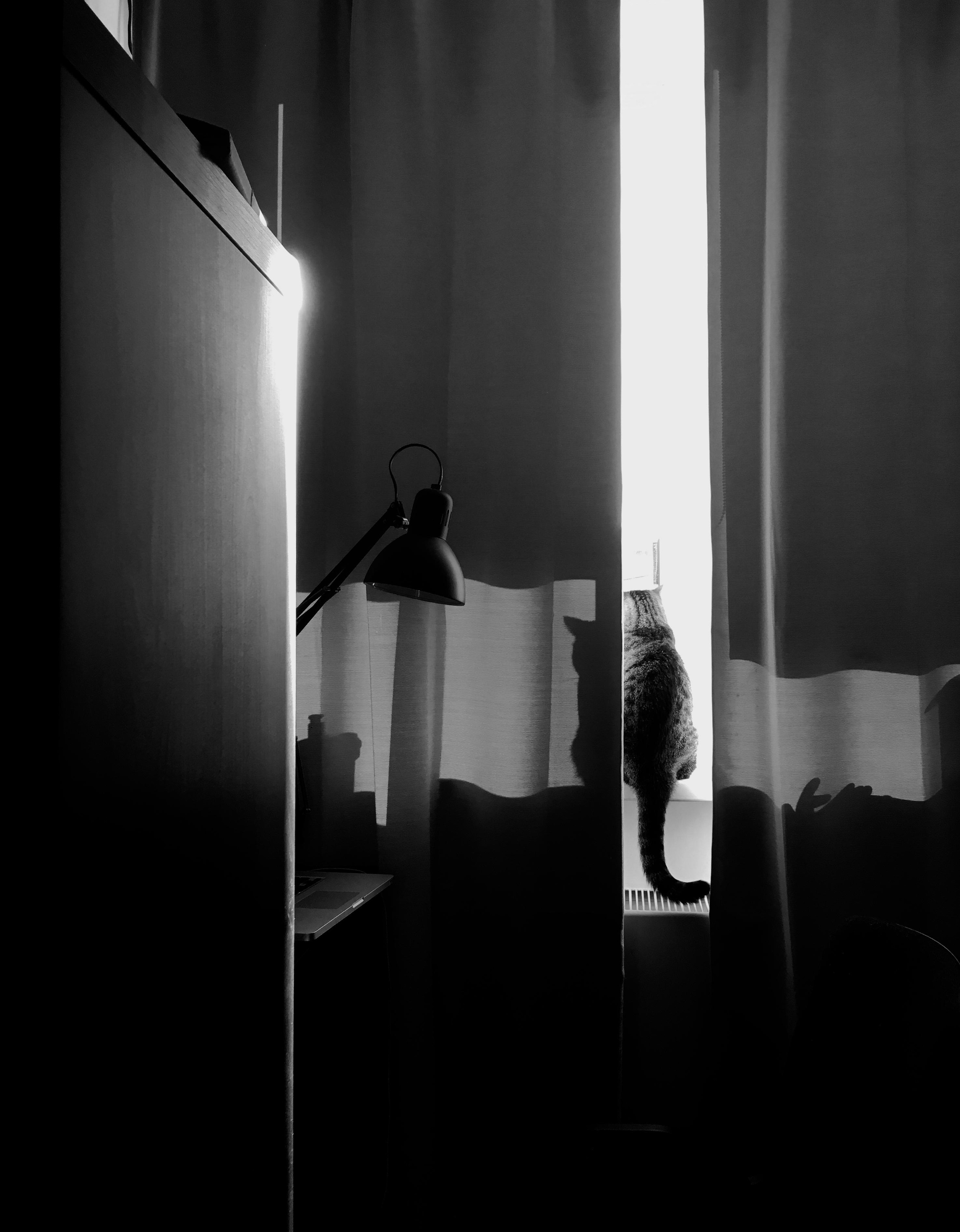 Фотографии. Детский и семейный фотограф Зоя Павкина