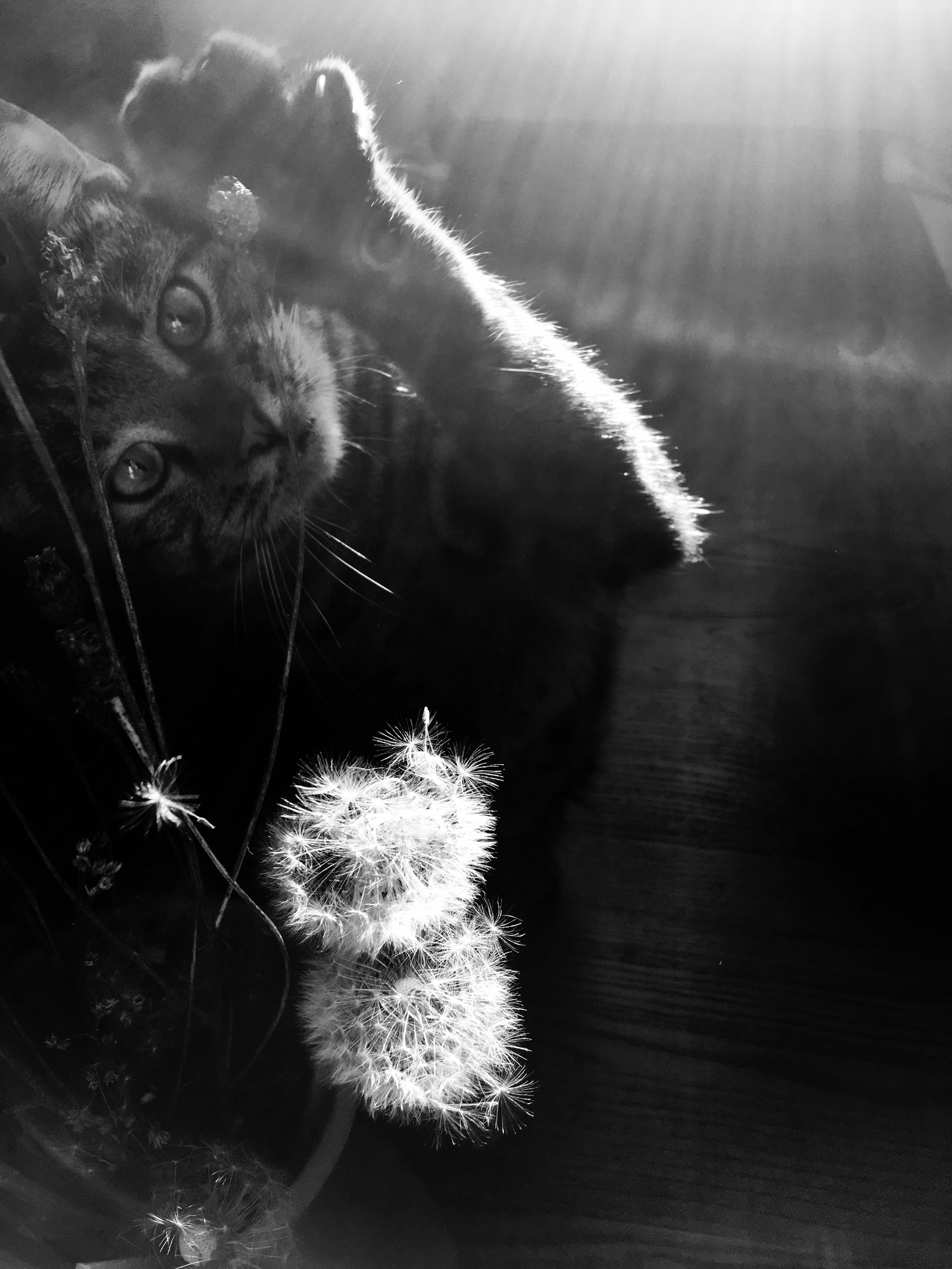 Фотографии. Детский и семейный фотограф Зоя Павкина