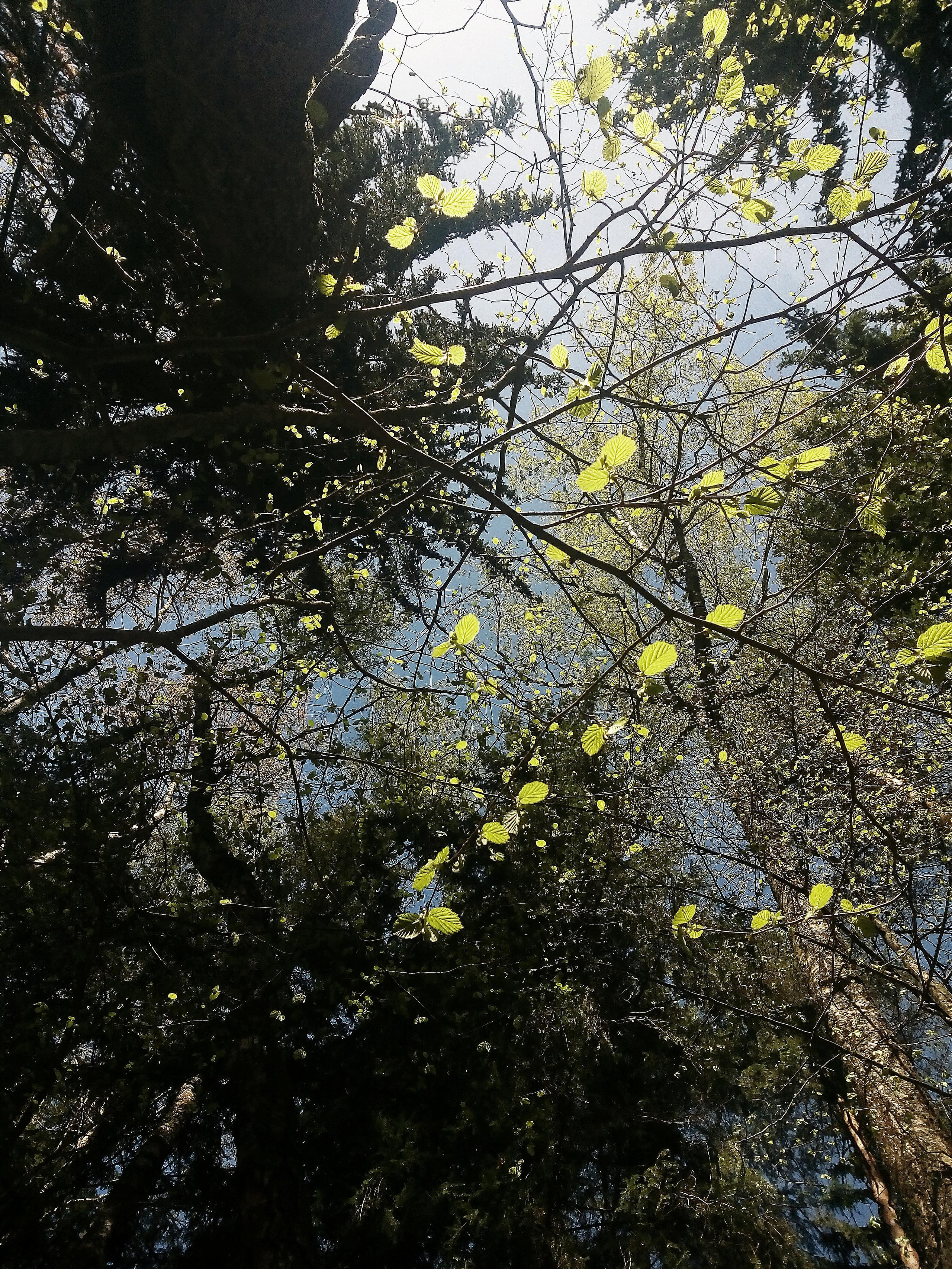 Фотографии. Детский и семейный фотограф Зоя Павкина