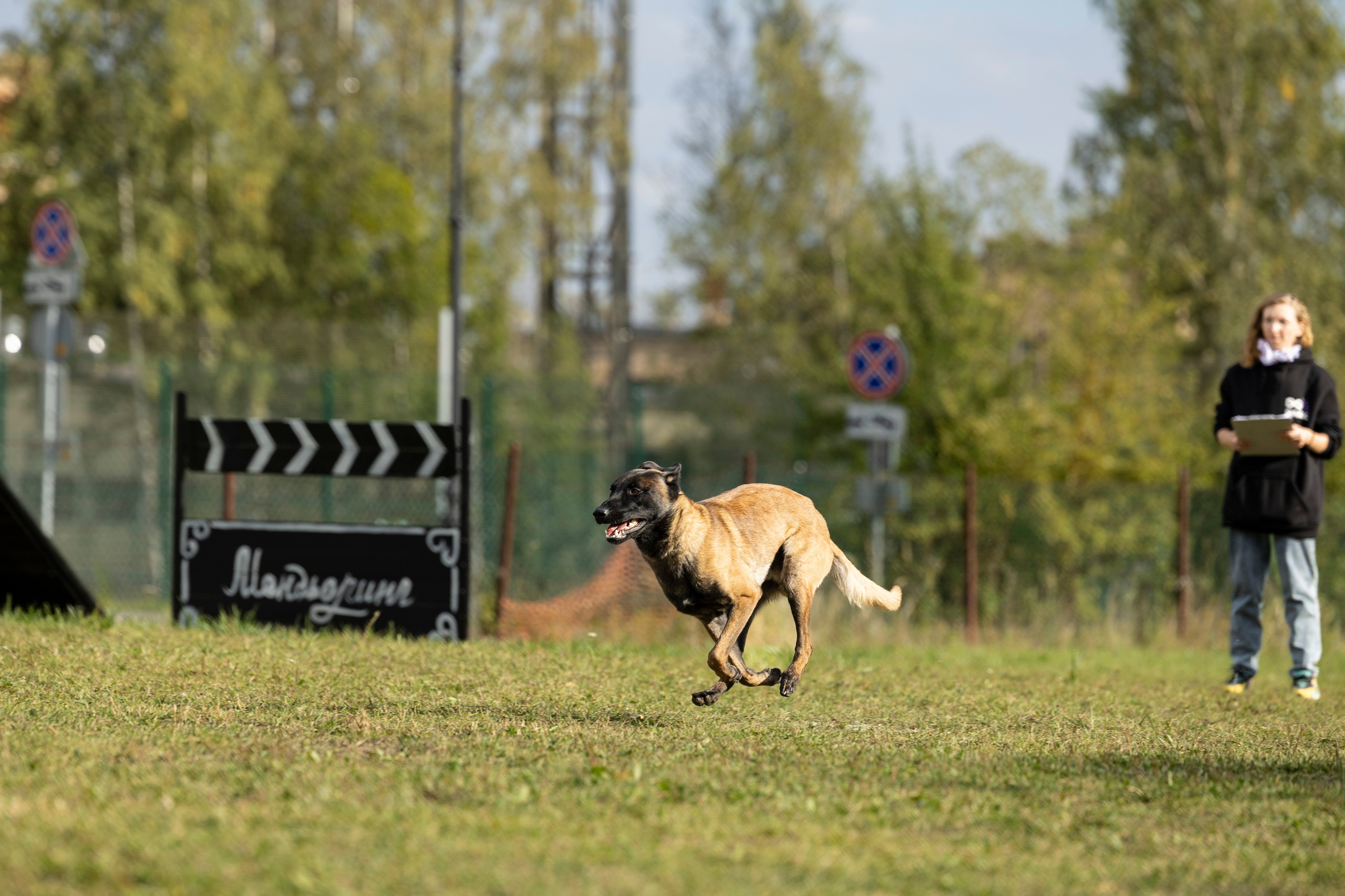 Испытания по Мондьорингу г. Пушкин. Фотограф-анималист Анна Маринич
