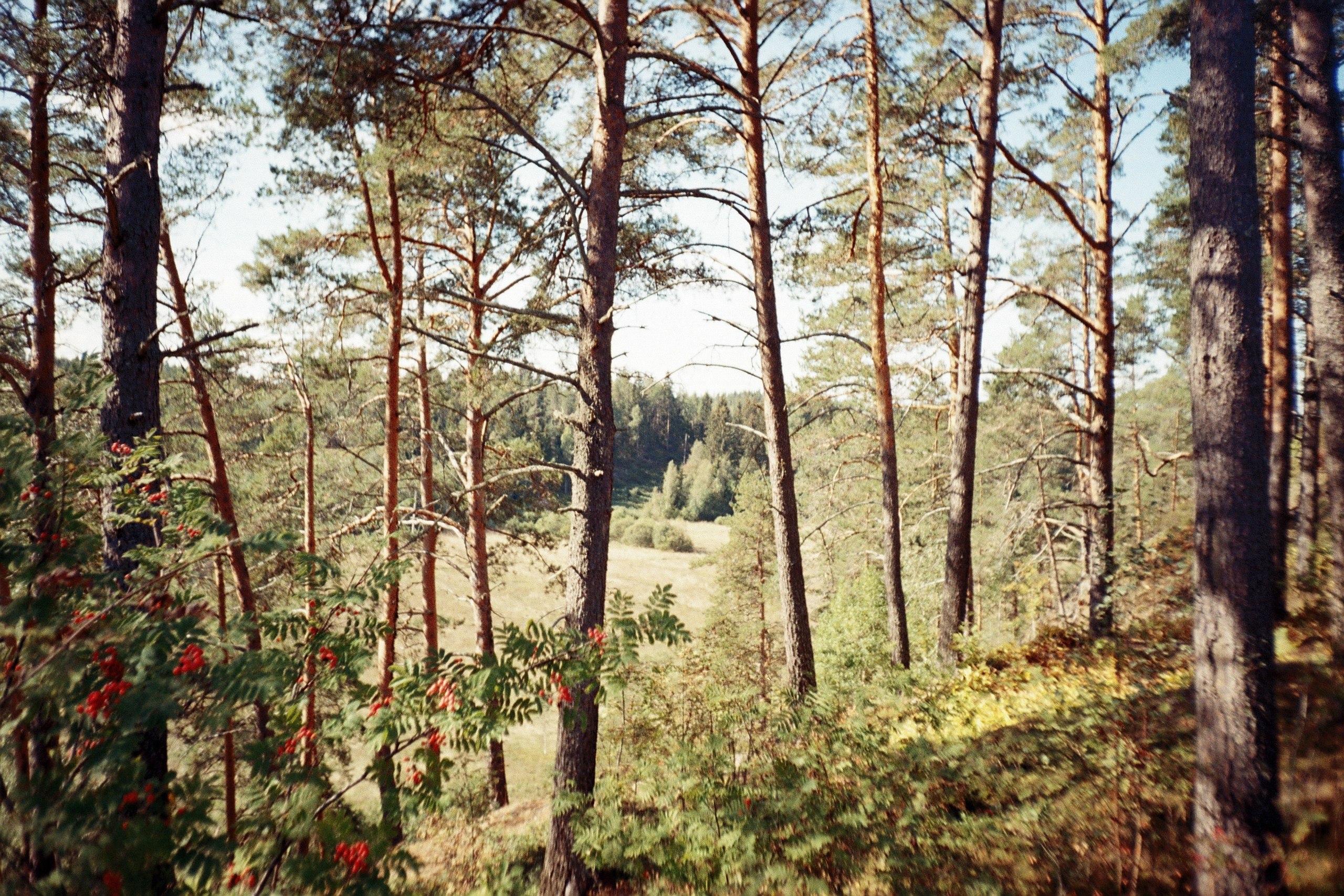 Плёнка •. Творческий фотограф в Санкт-Петербурге Надежда Лиссова