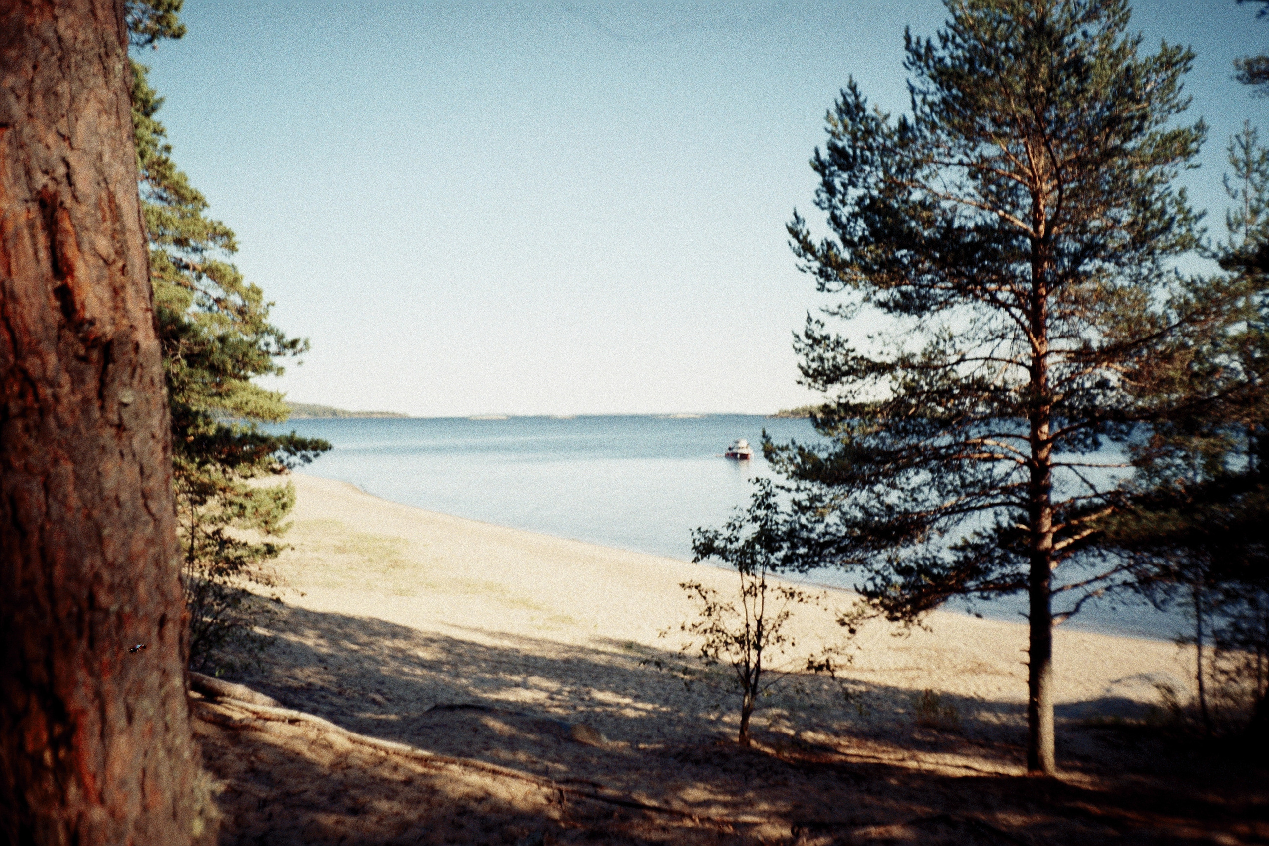 Плёнка •. Творческий фотограф в Санкт-Петербурге Надежда Лиссова