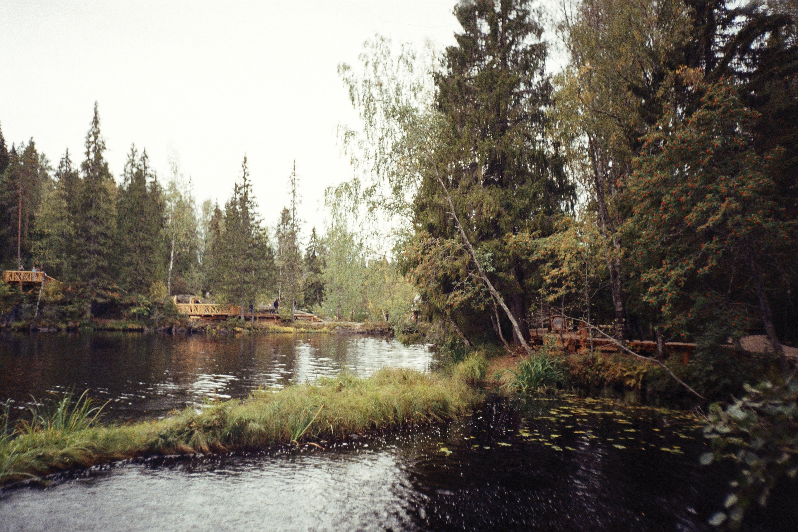 Плёнка •. Творческий фотограф в Санкт-Петербурге Надежда Лиссова
