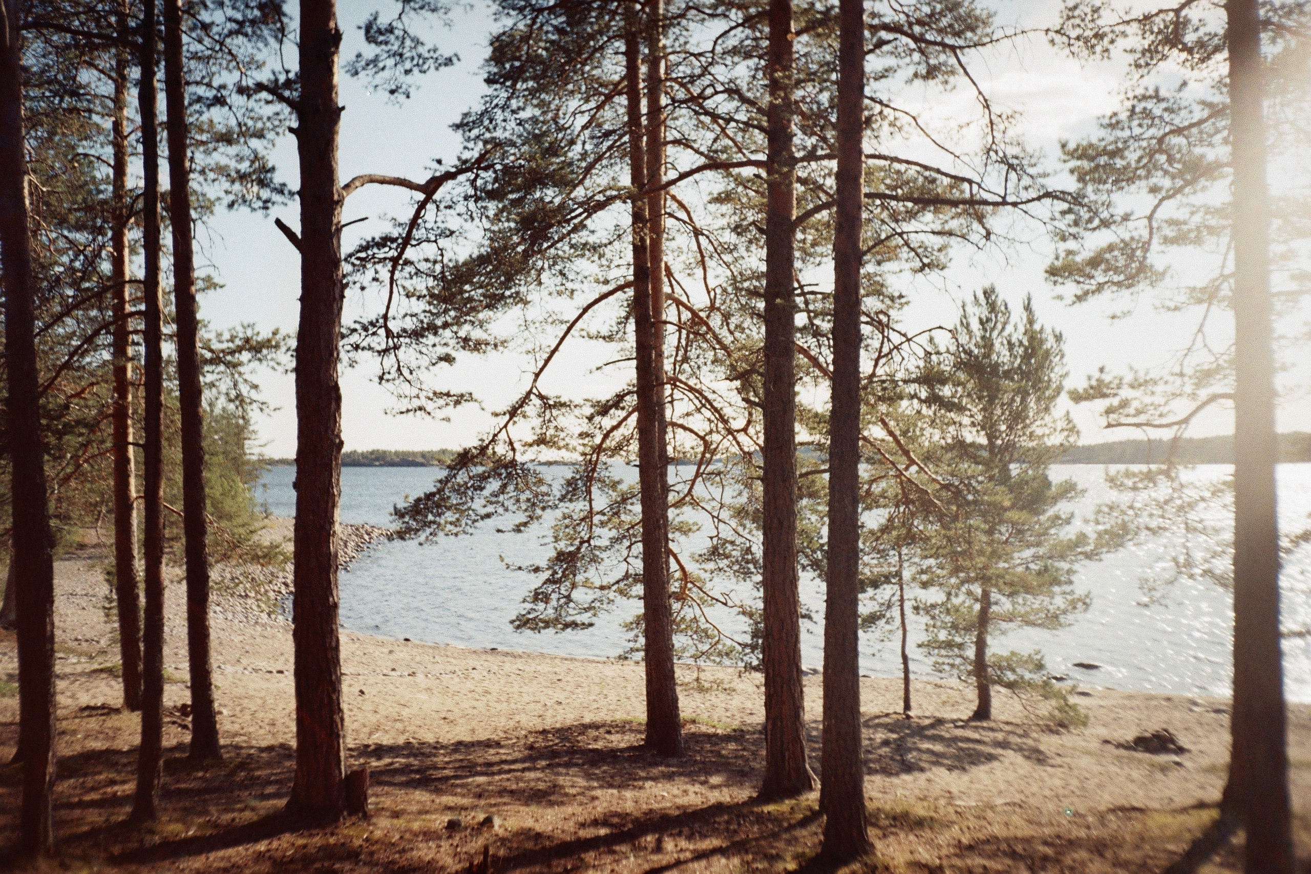 Плёнка •. Творческий фотограф в Санкт-Петербурге Надежда Лиссова