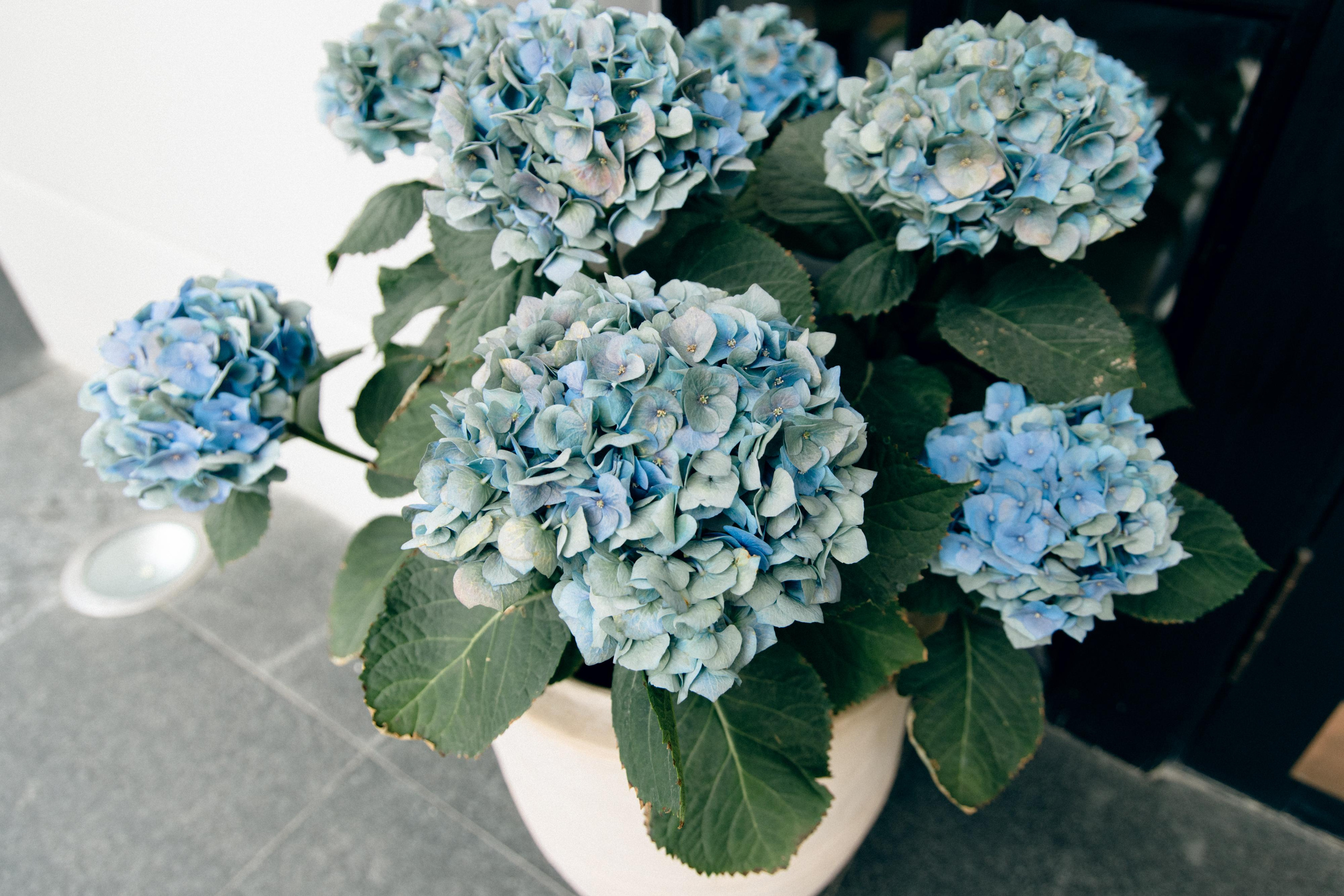 Роман и Лилия. Варвара Синицына: семейный фотограф в Москве