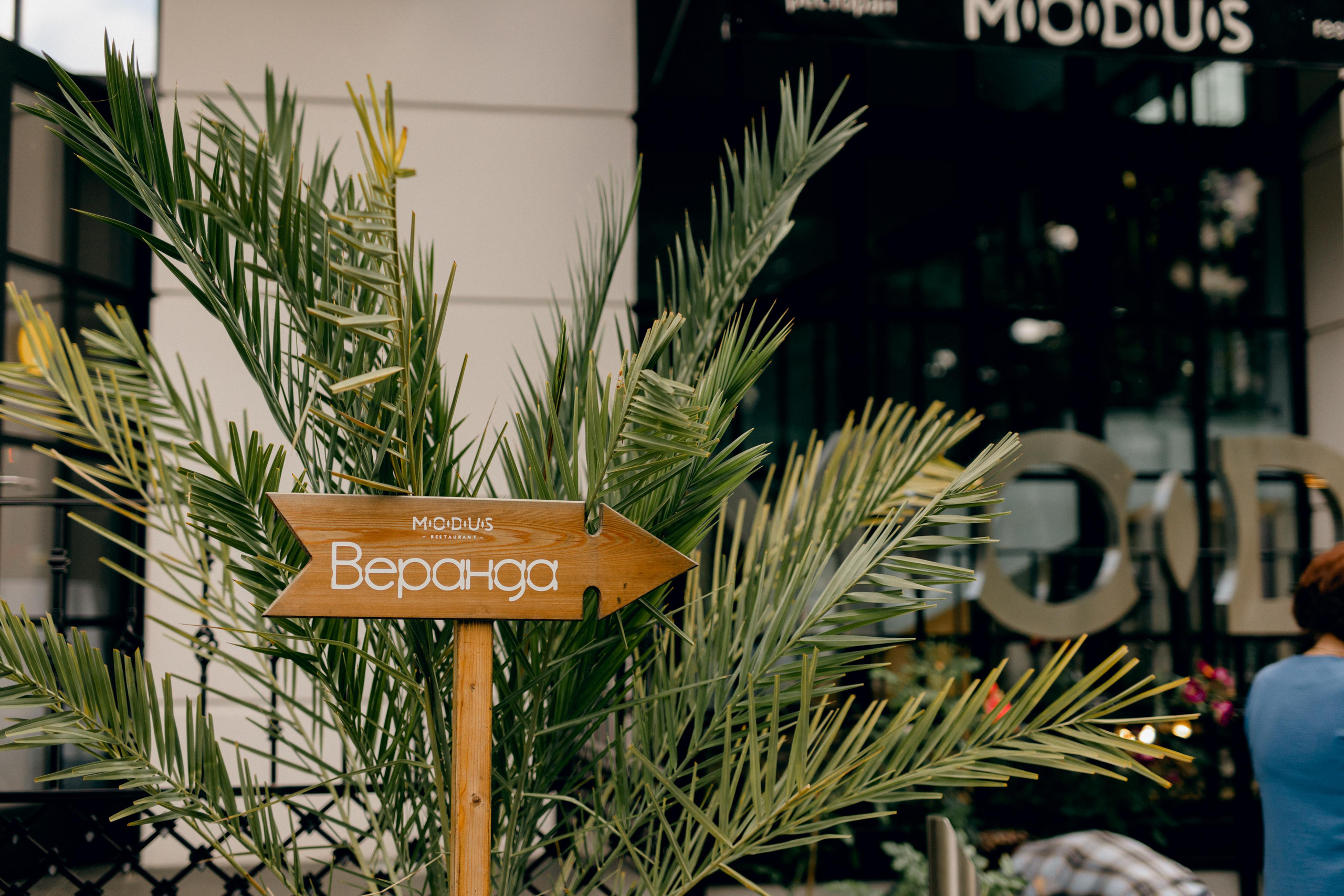 Роман и Лилия. Варвара Синицына: семейный фотограф в Москве