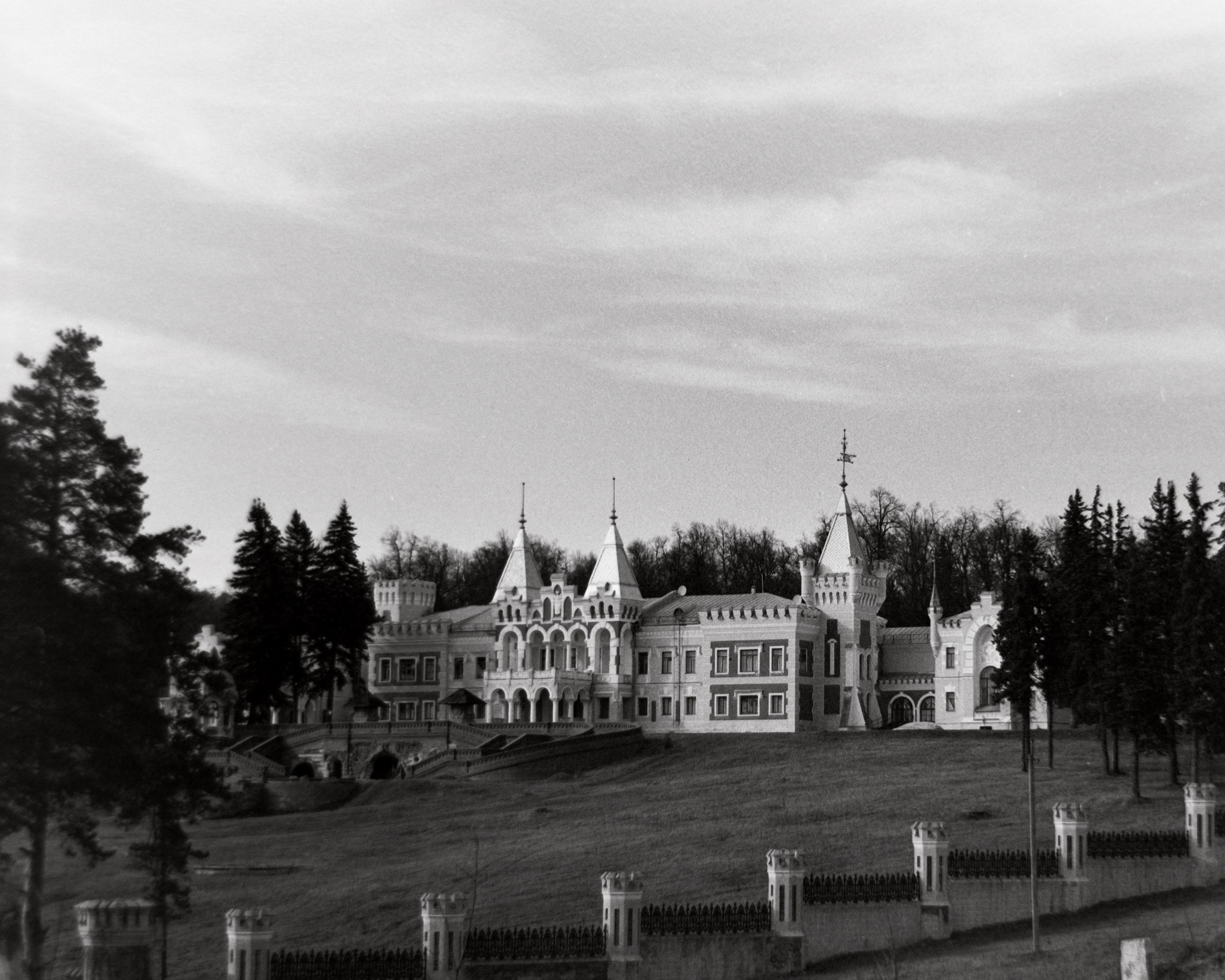 Пленочная история. Дмитрий Пропадалин, Нейрофотография