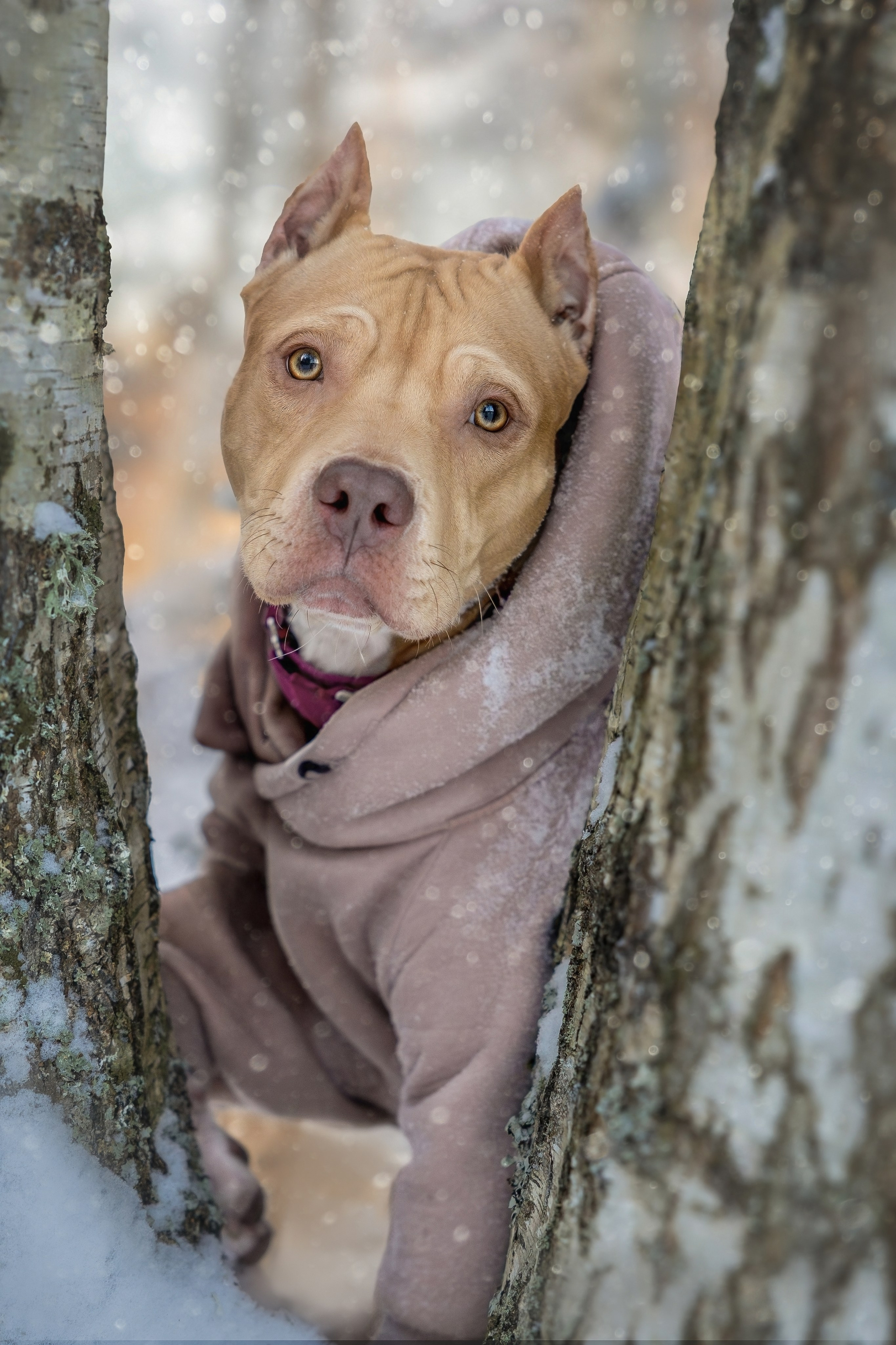 Прогулки. Главная