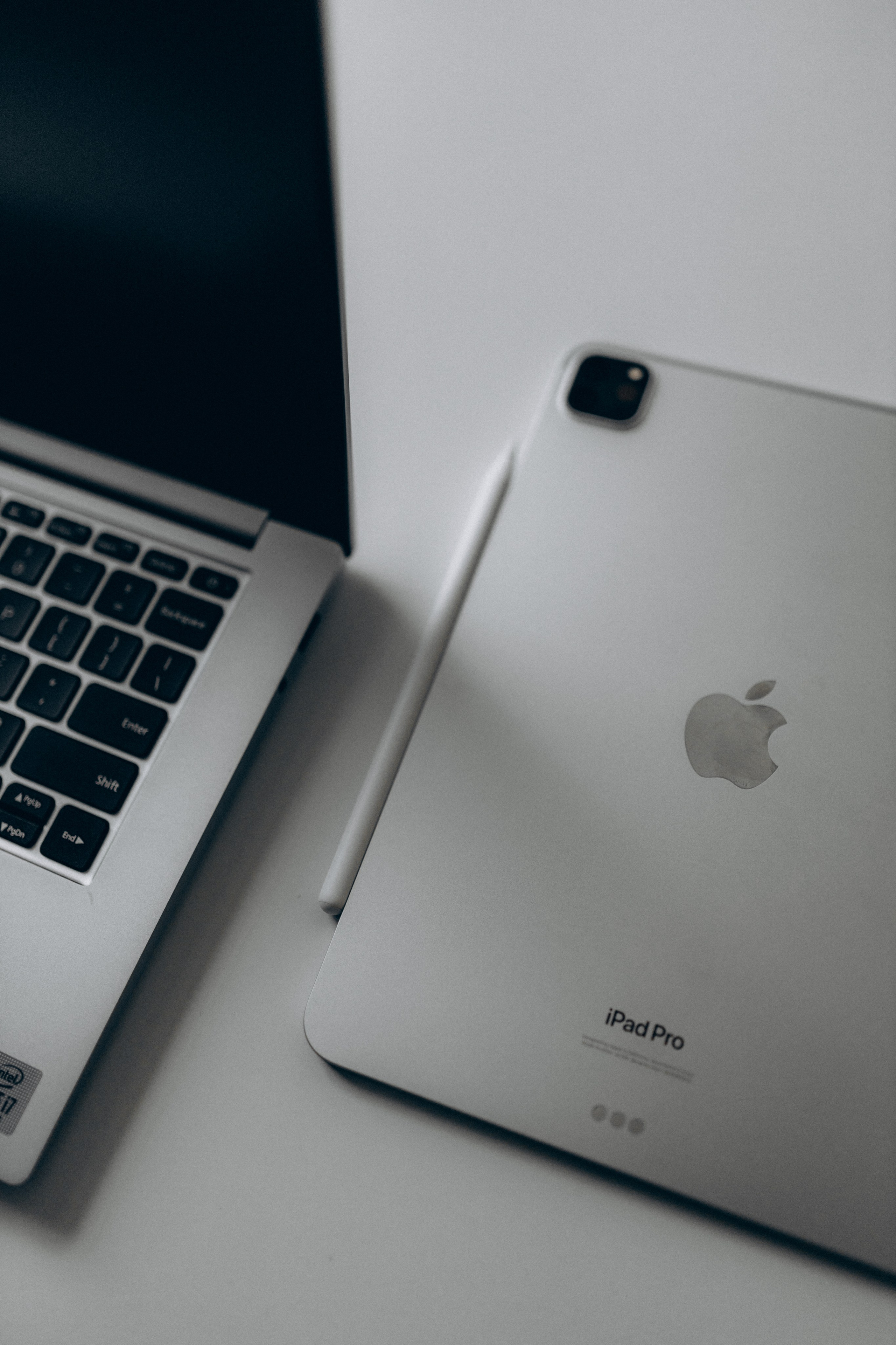 Настя. Веб-дизайнер. Фотограф НОГИНСК, Москва, Анастасия Белая