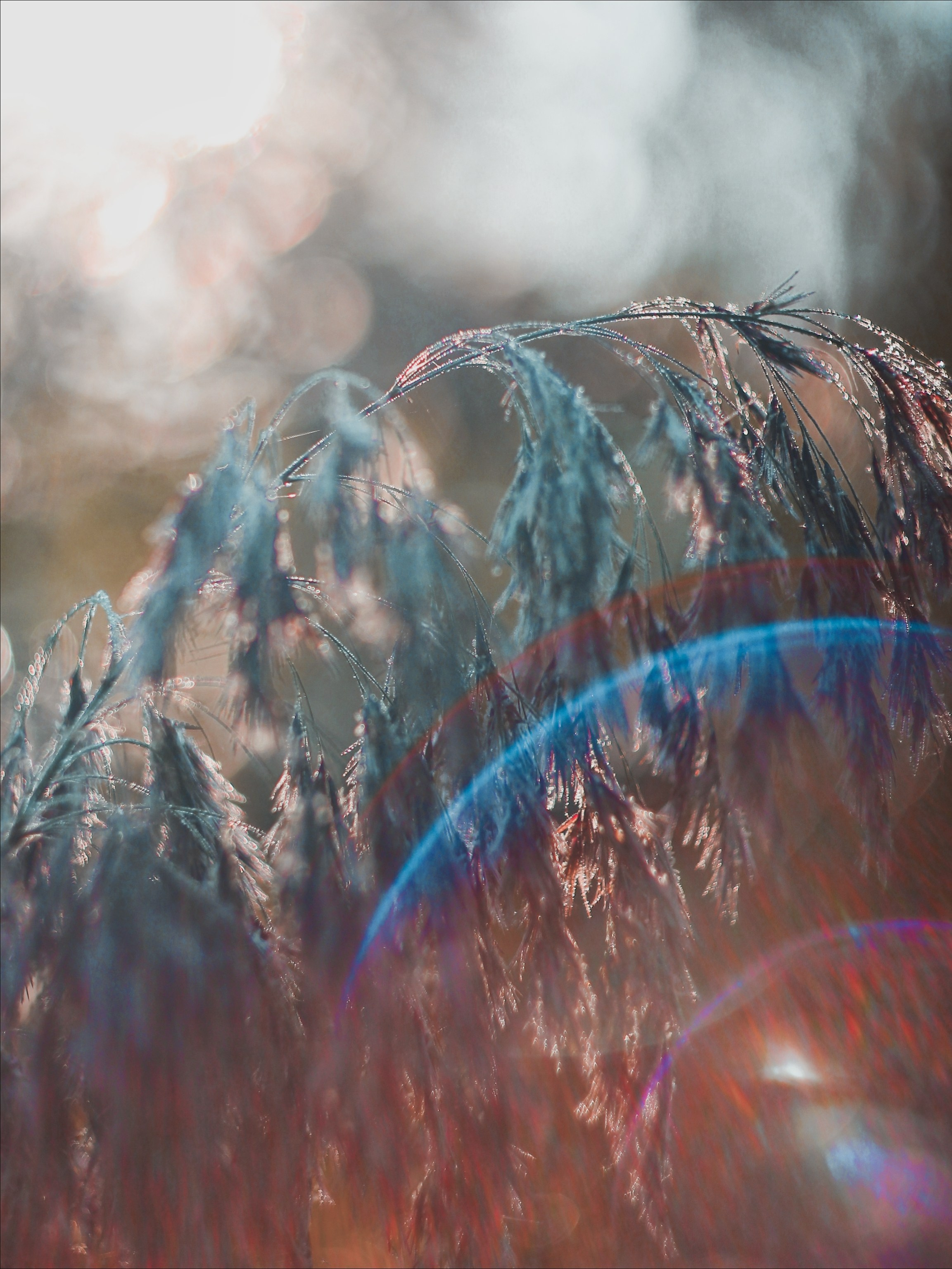 Эфемерность моментов. С любовью, фотохудожник