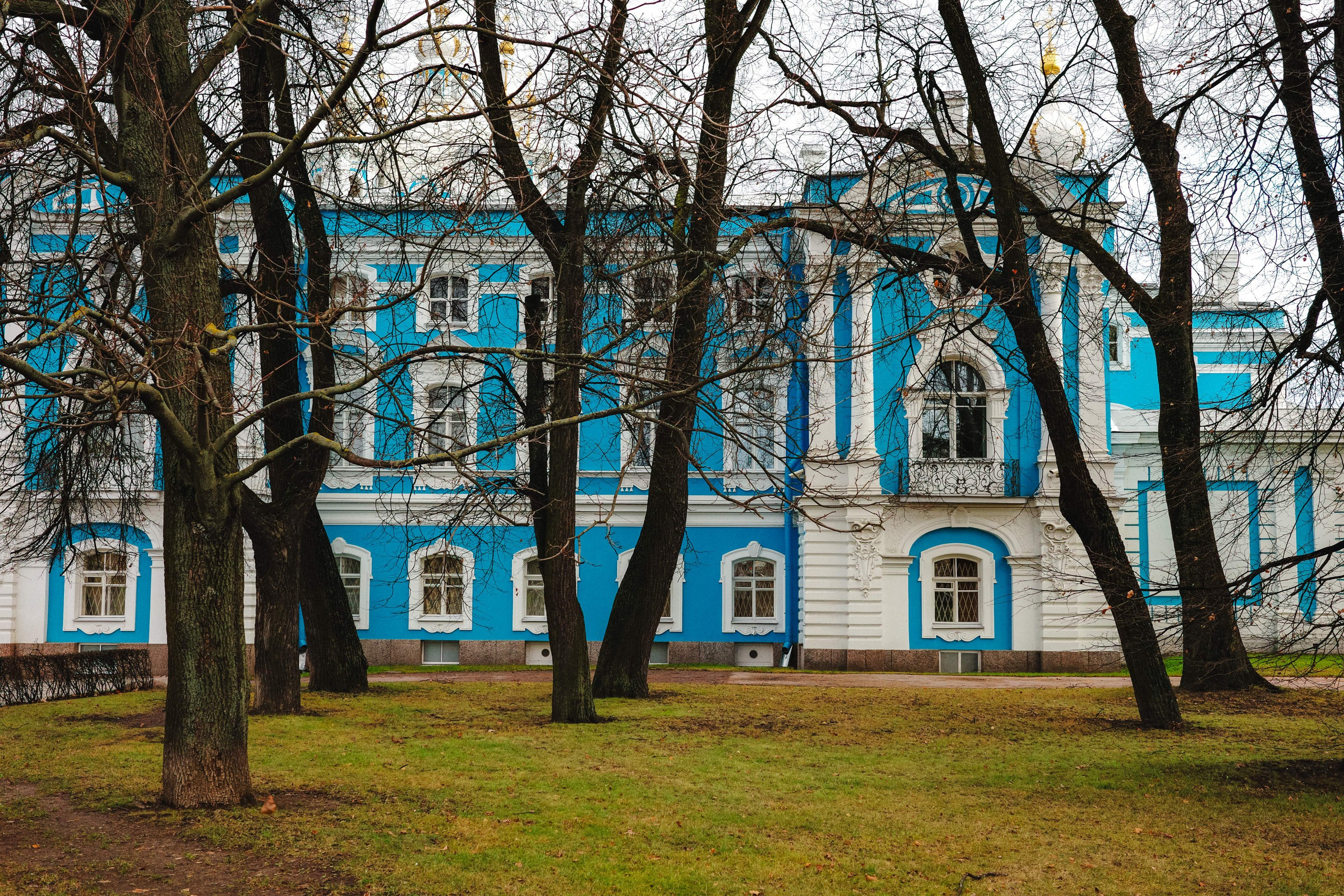 2024.11. Фотограф Алексей Алексеев