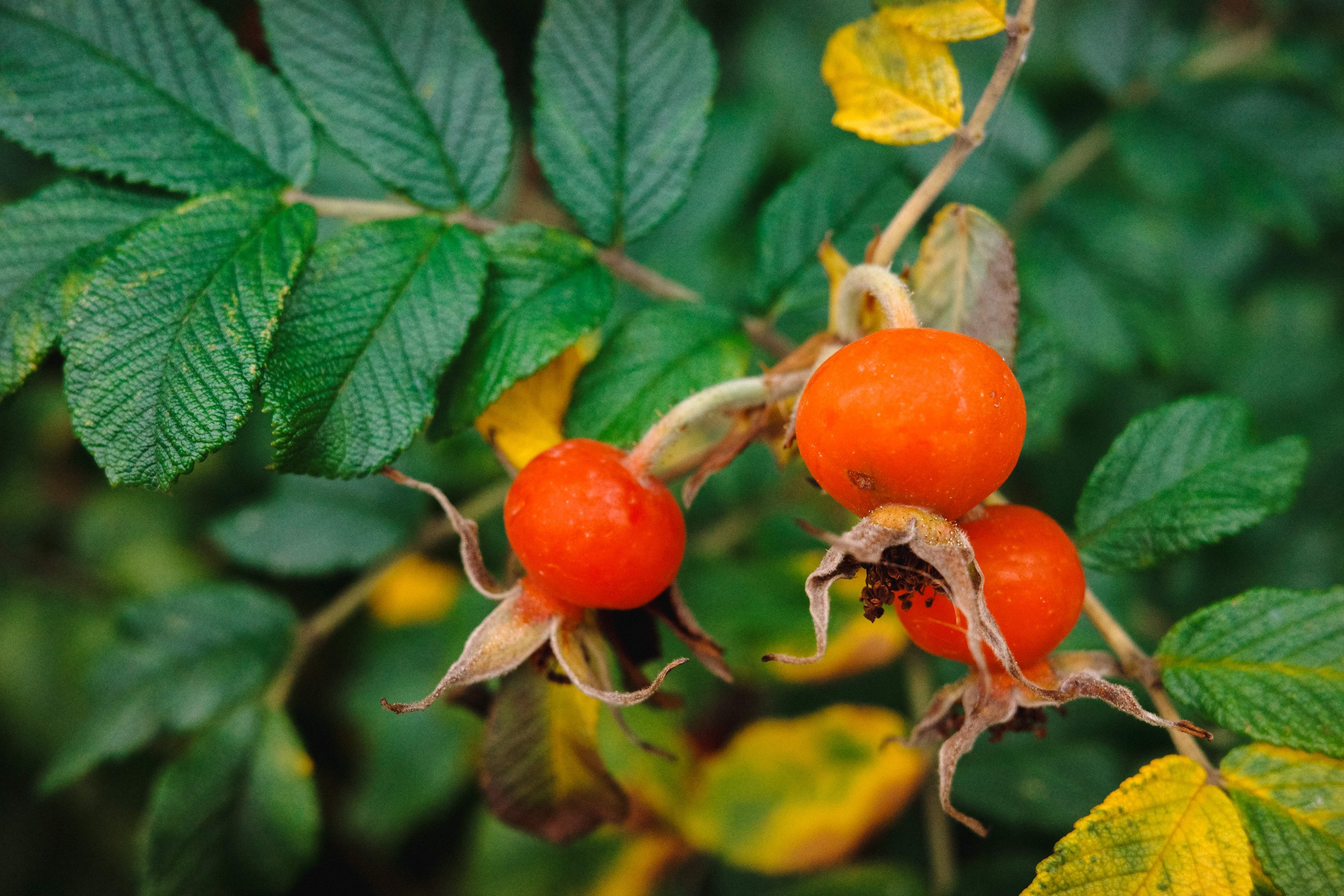 2024.10. Фотограф Алексей Алексеев