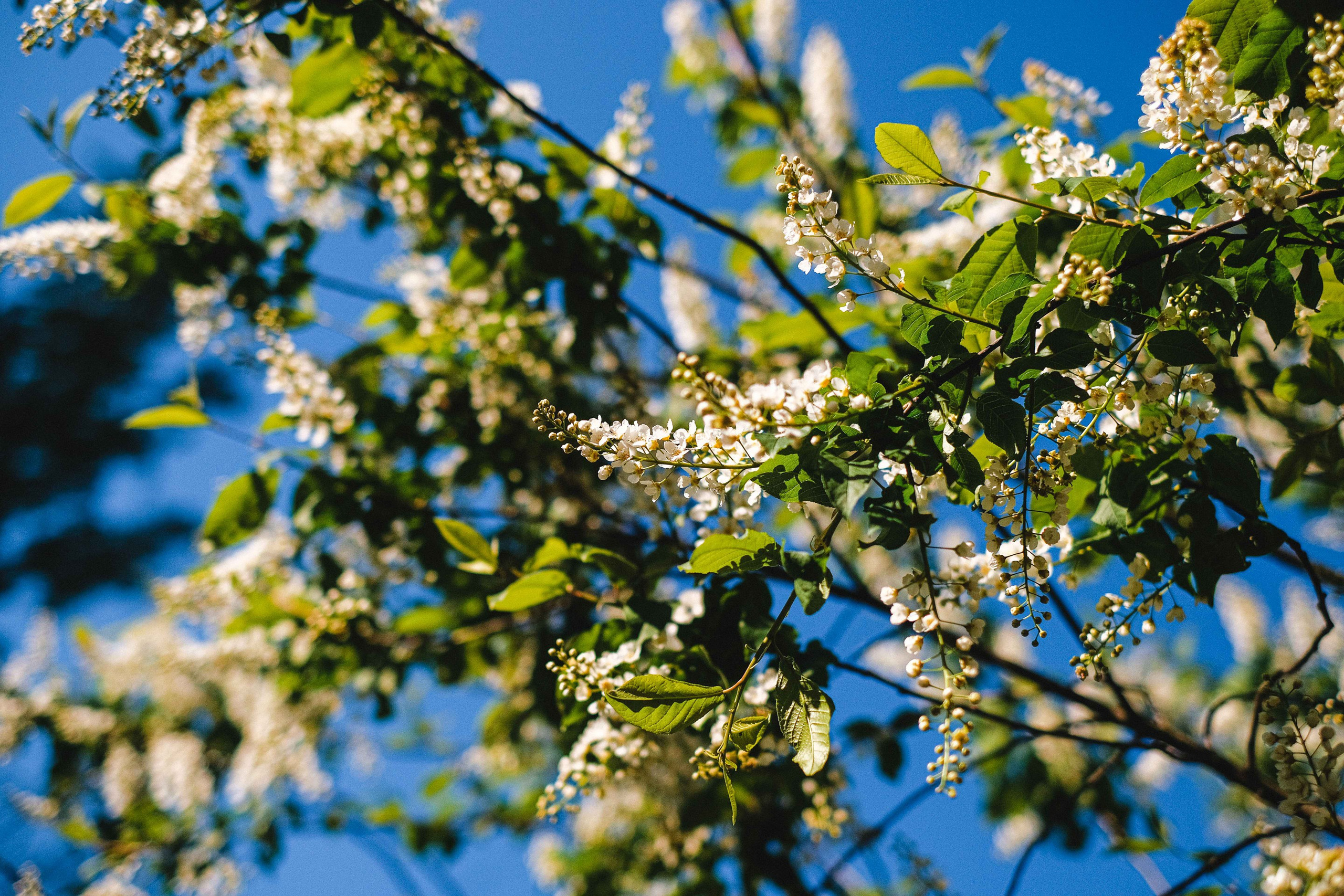 2022.05. Фотограф Алексей Алексеев