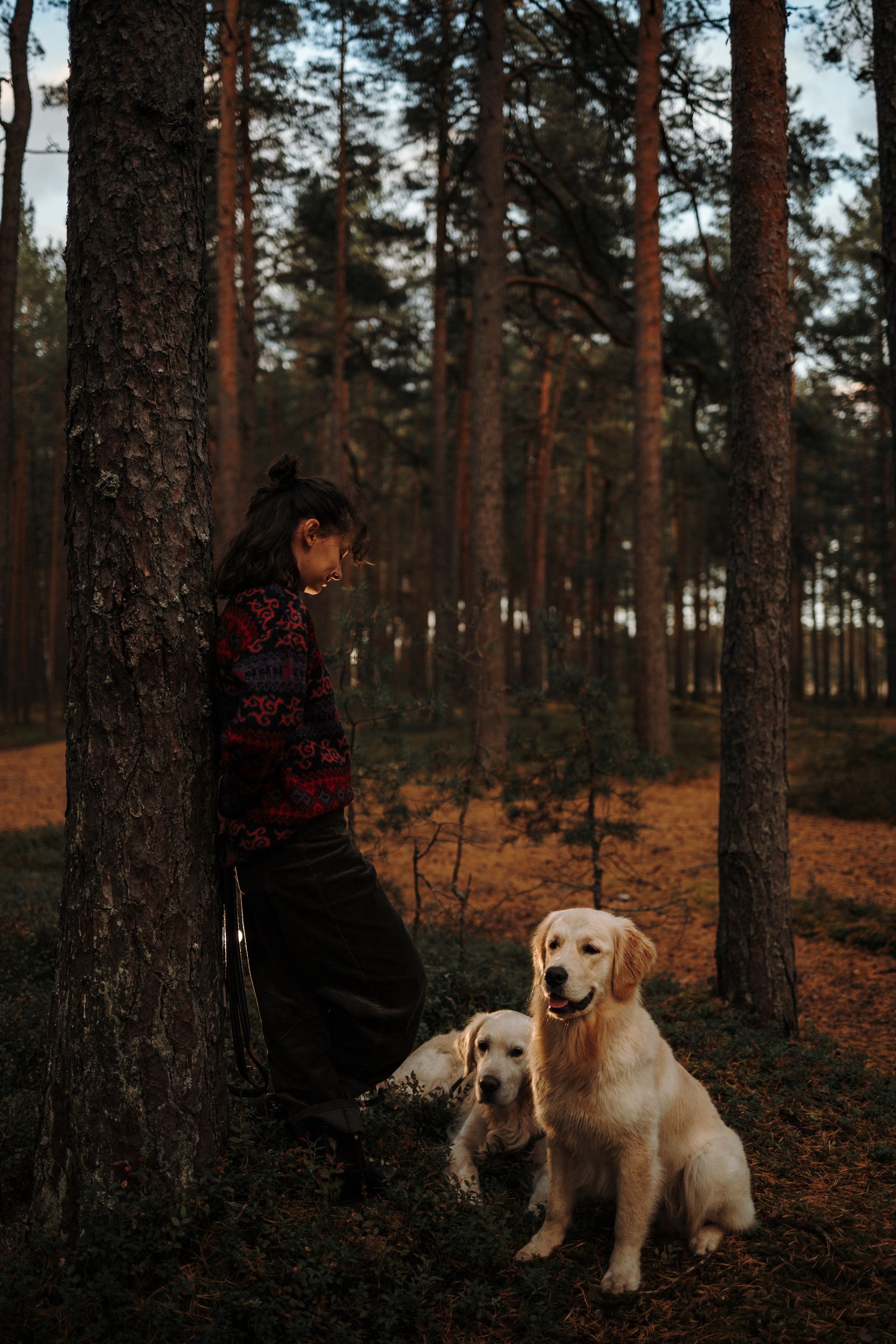 Прогулка Насти с Арчи и Арагоном. Фотограф-анималист в Санкт-Петеребурге Титова Алиса
